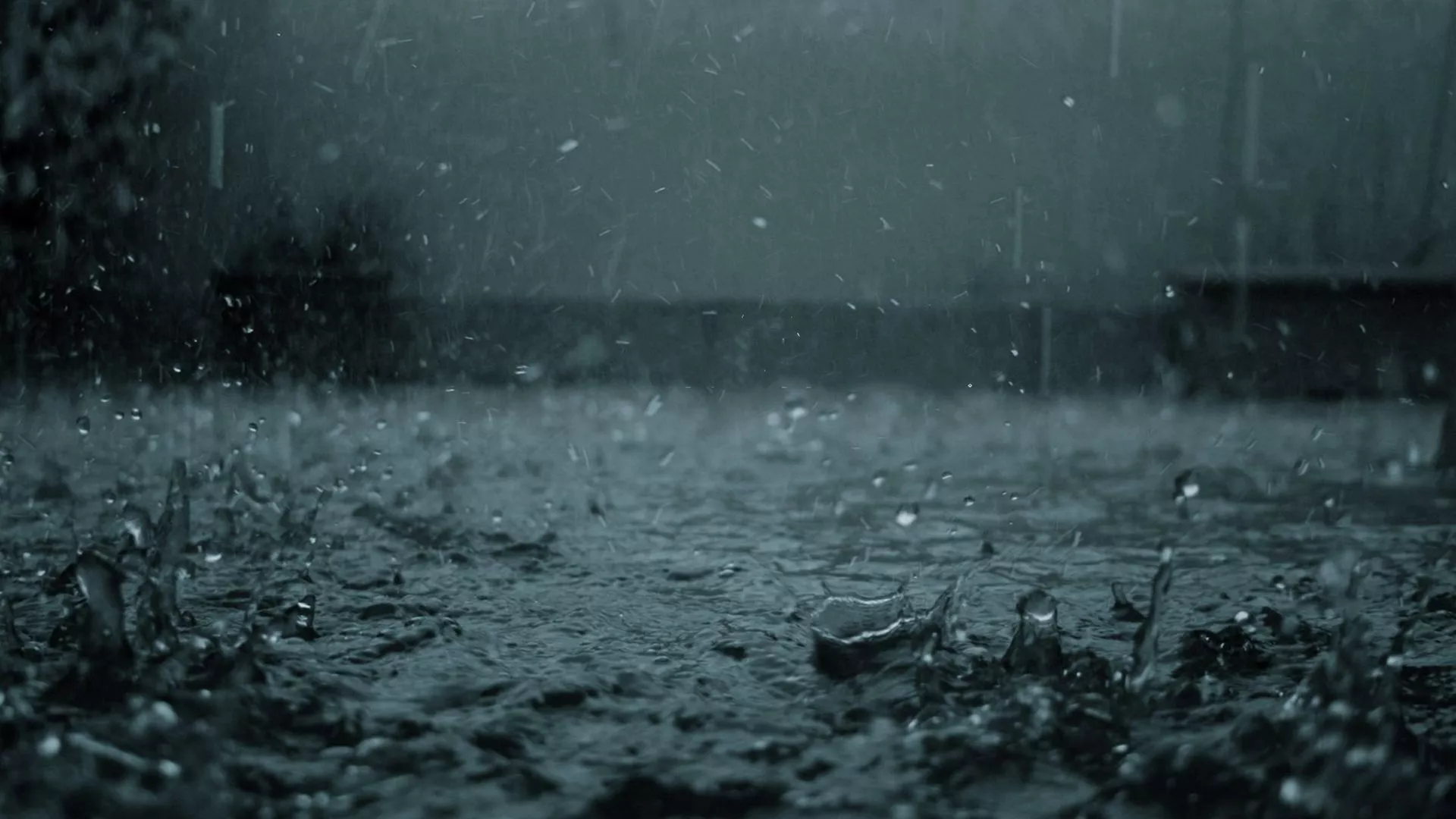 A Splash of Water Photography