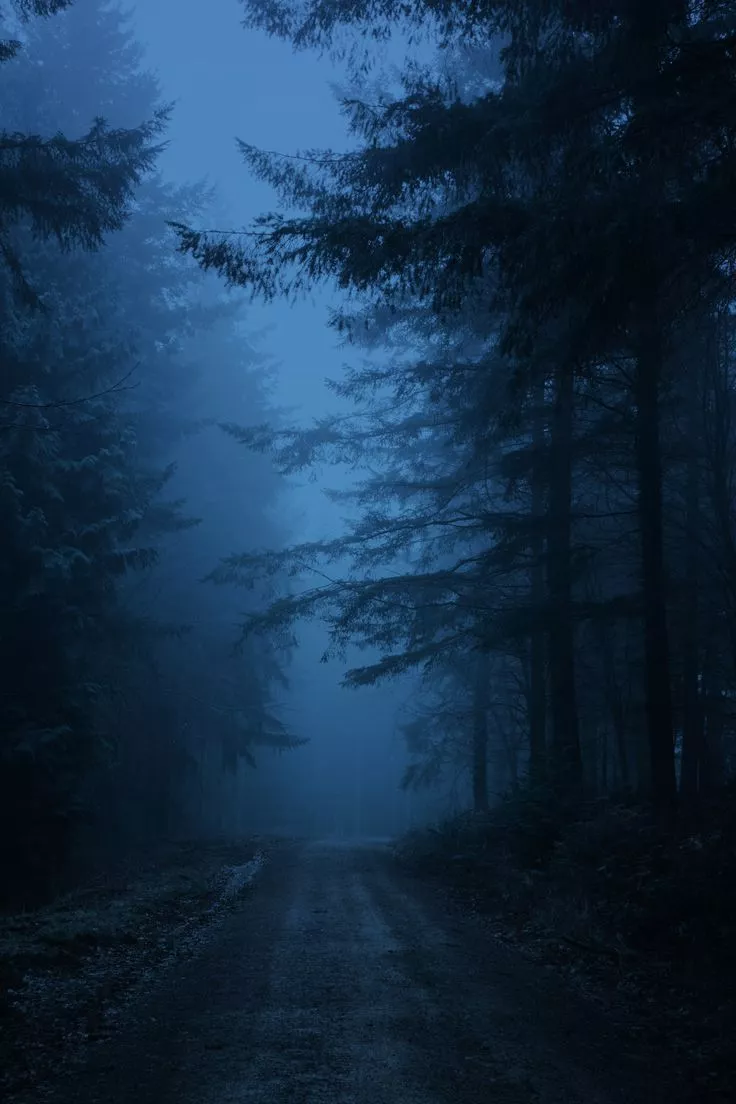 Best Blue Forest ideas. scenery