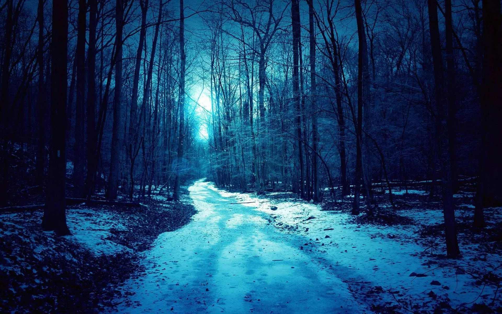 Dark Blue Aesthetic Dead Forest
