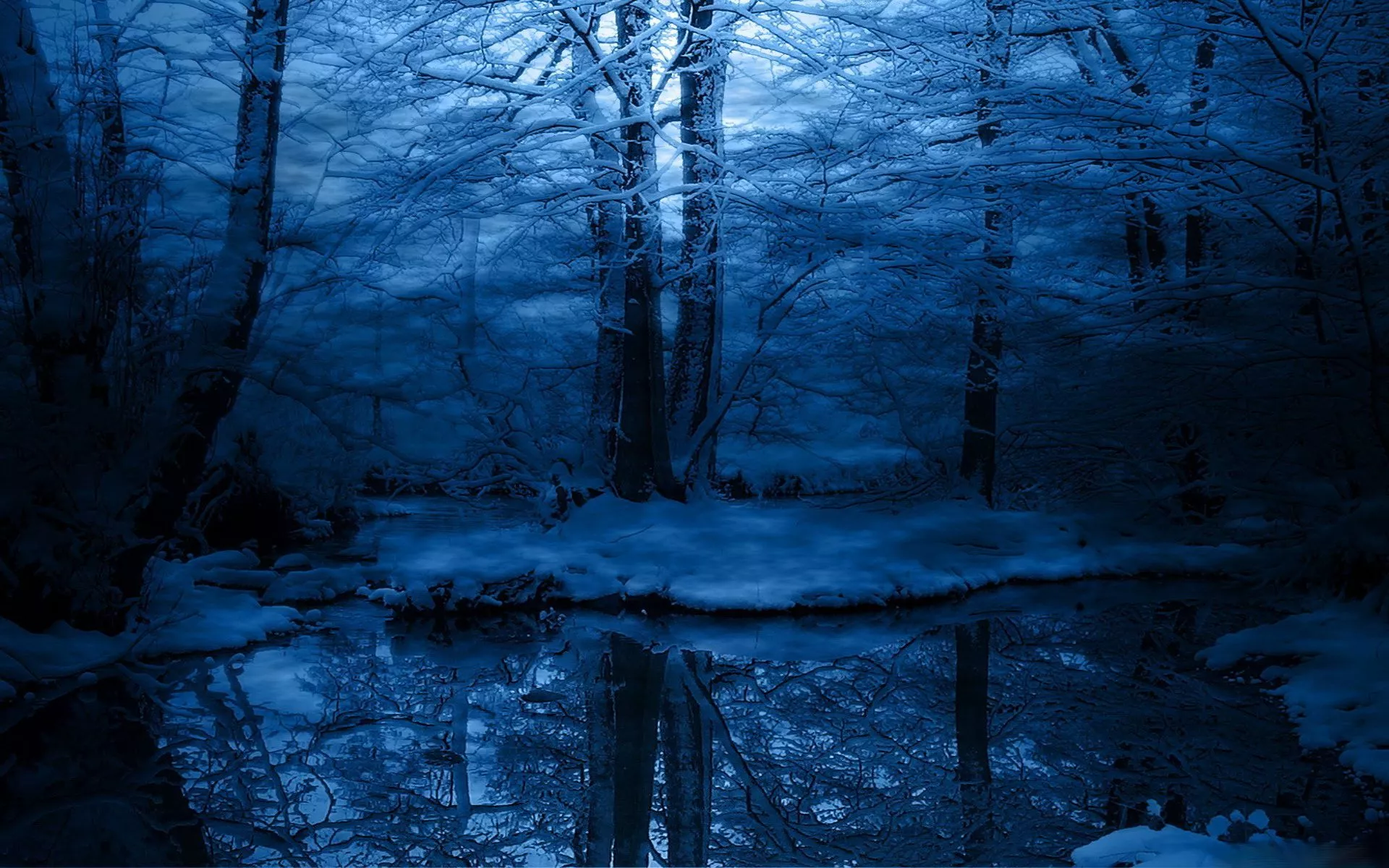Snowy Forest Reflection HD Wallpaper