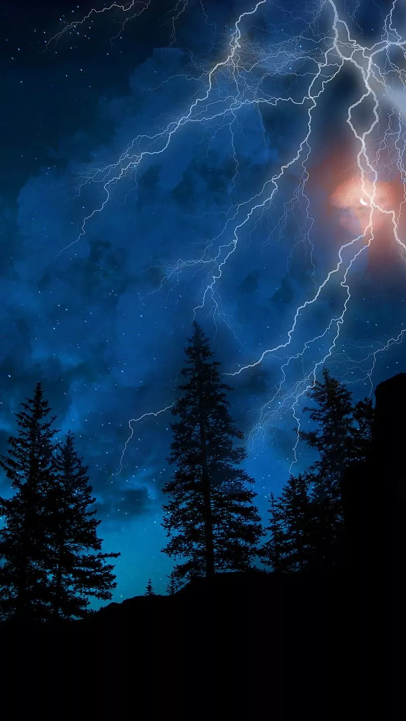 HD Dark Blue Forest Wallpaper