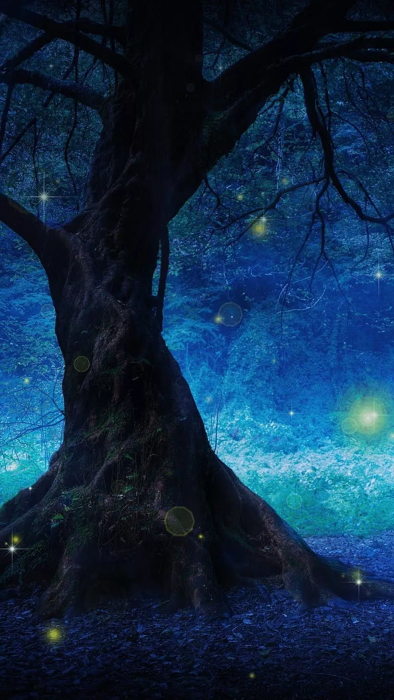 dark, forest, galaxy, nature, night