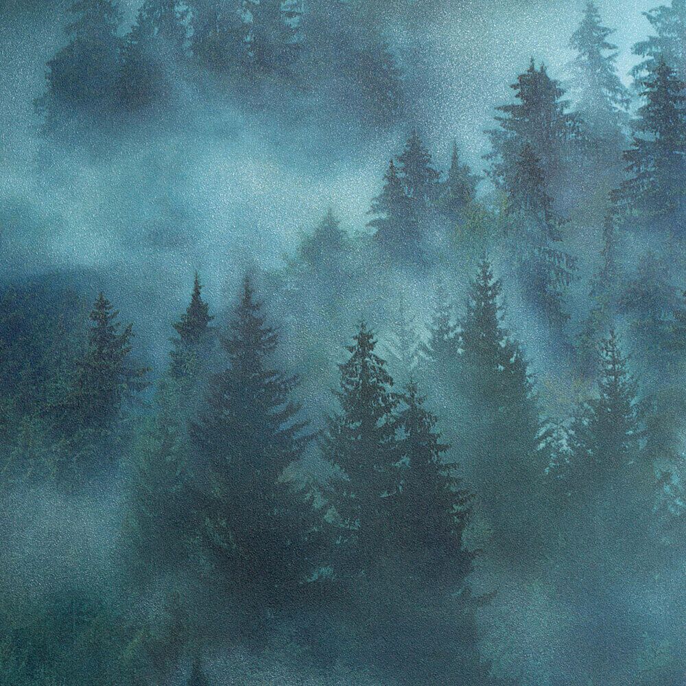 Wallpaper My Forest, PALITRA