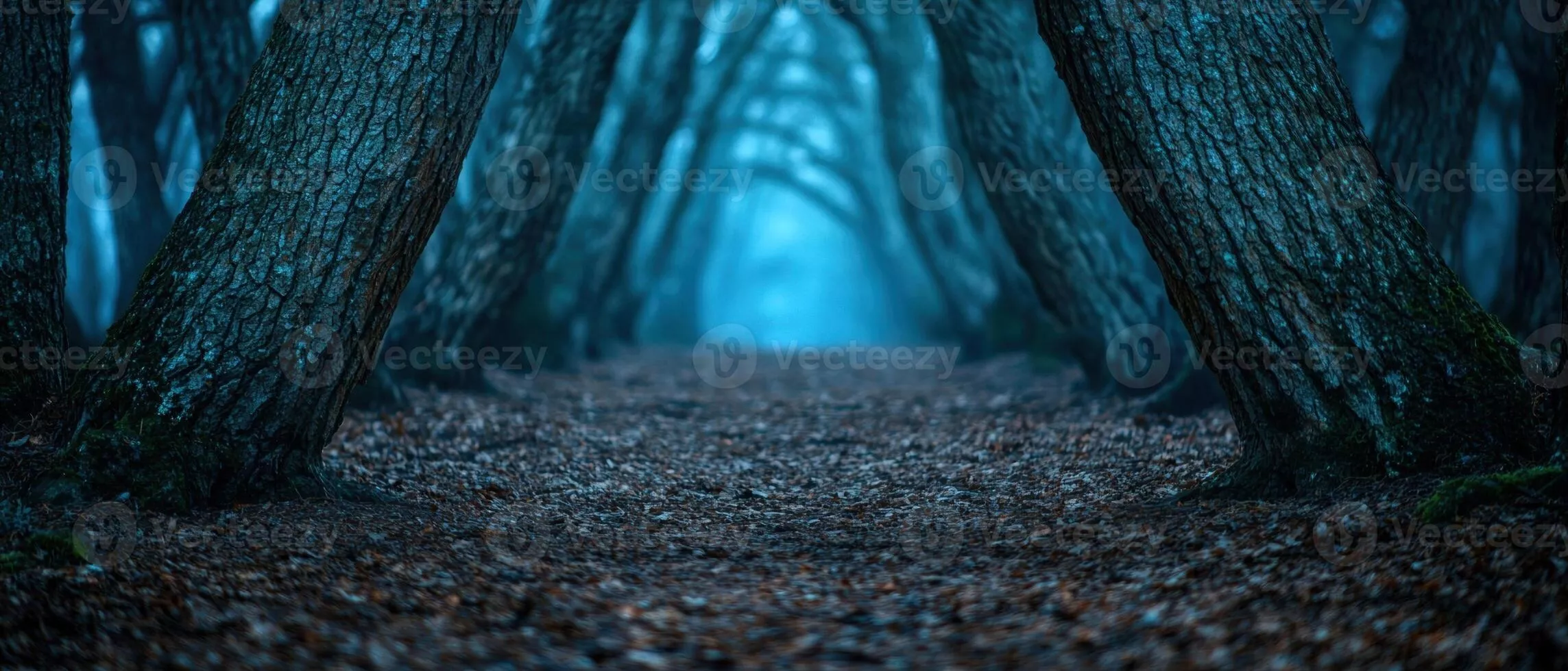 Dark Forest Path