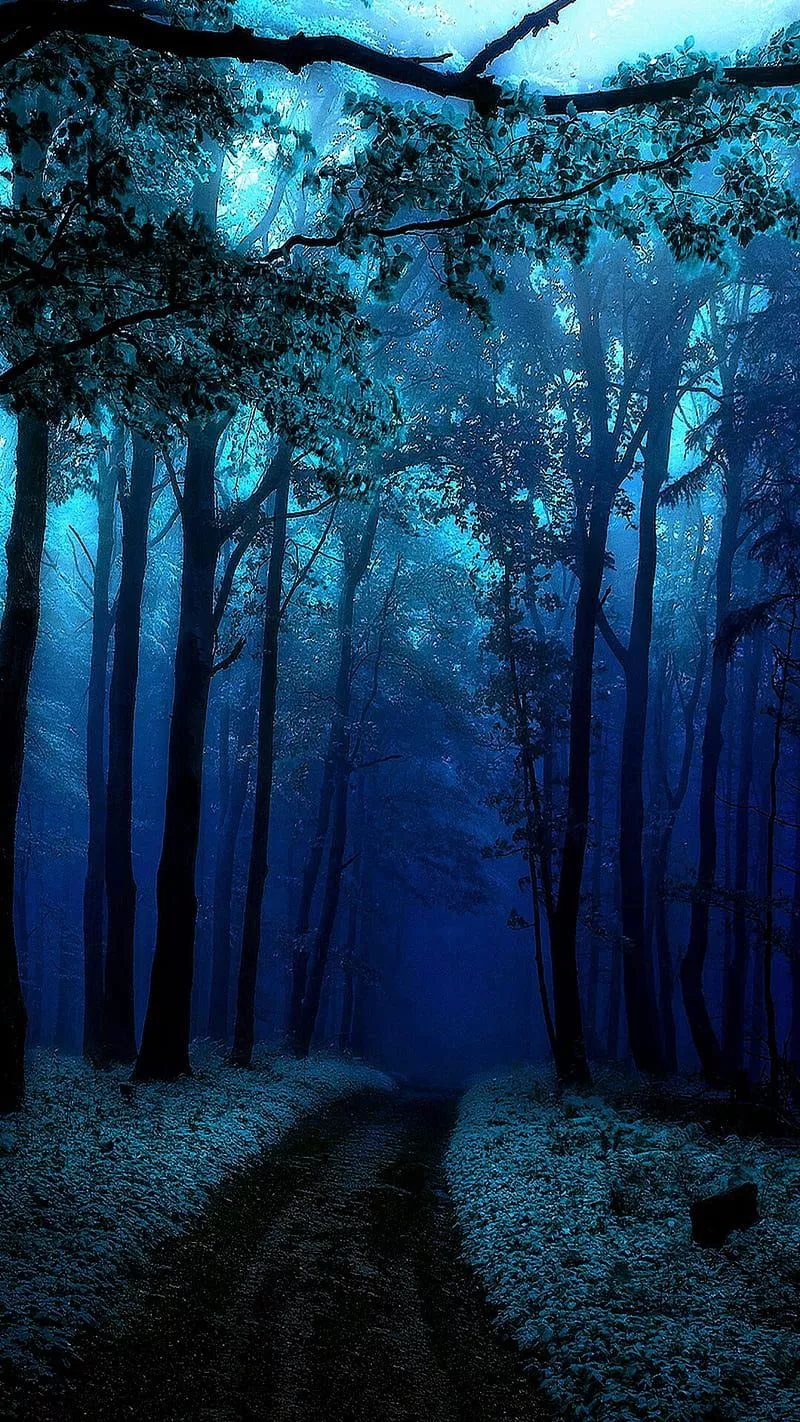 scary, wood, HD phone wallpaper