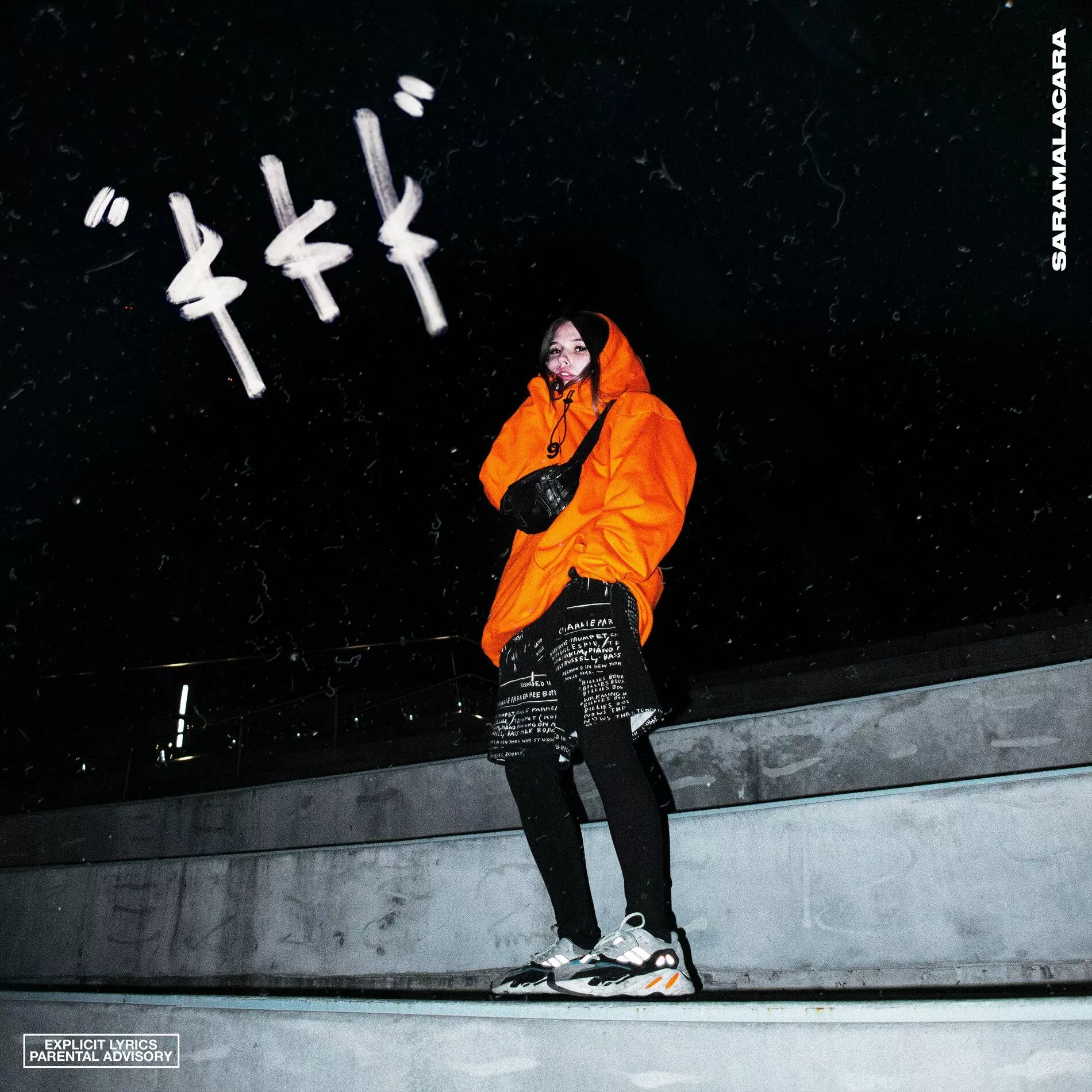 Saramalacara - $$$ (Remix): lyrics