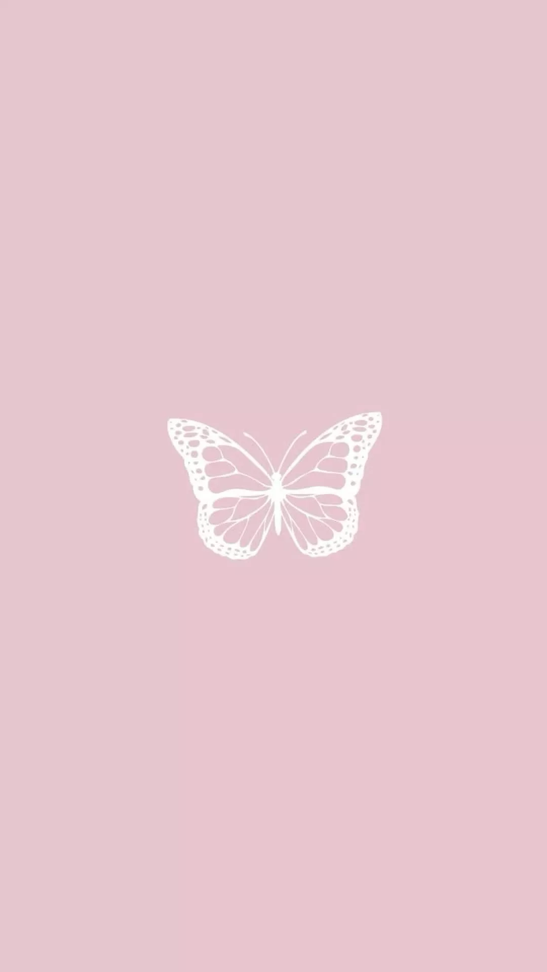 Aesthetic Baby Pink Butterfly Wallpaper