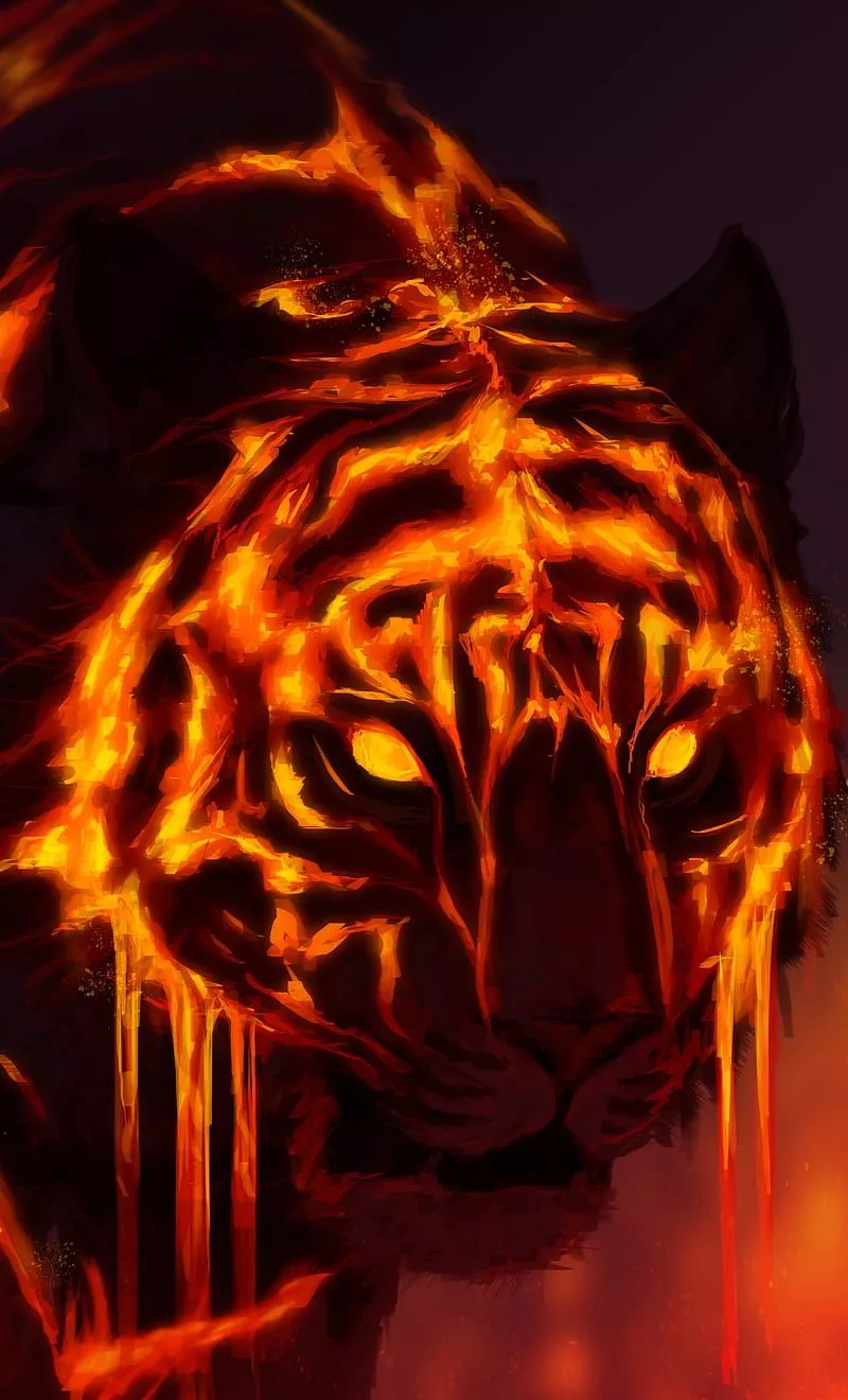 HD tiger fire wallpaper