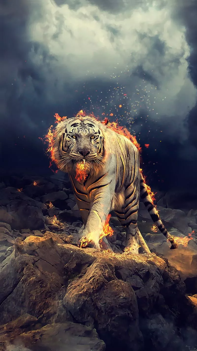Fire tiger, feu, tiger, HD phone
