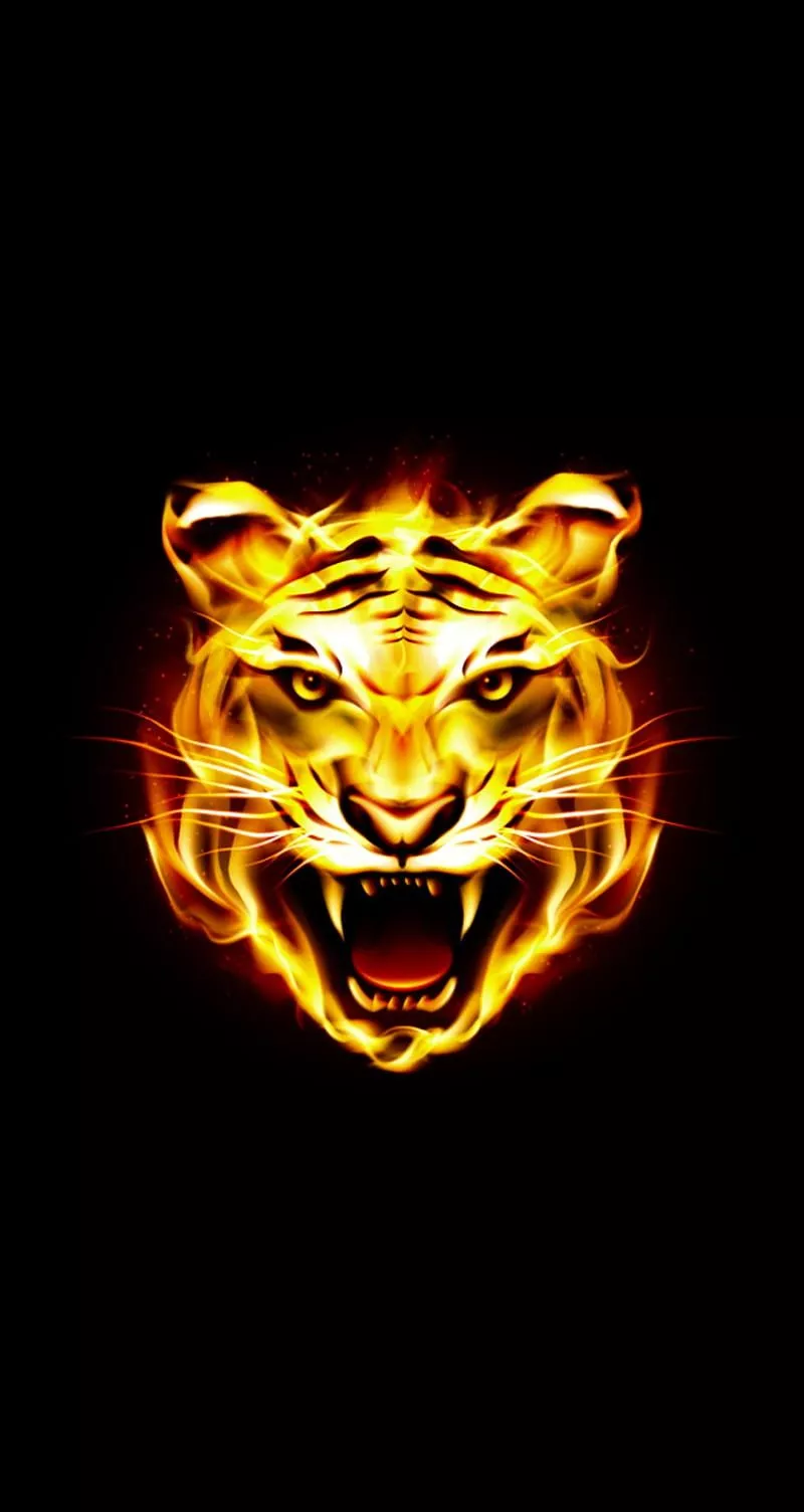 Tiger Fire, black, dark, fire, scary