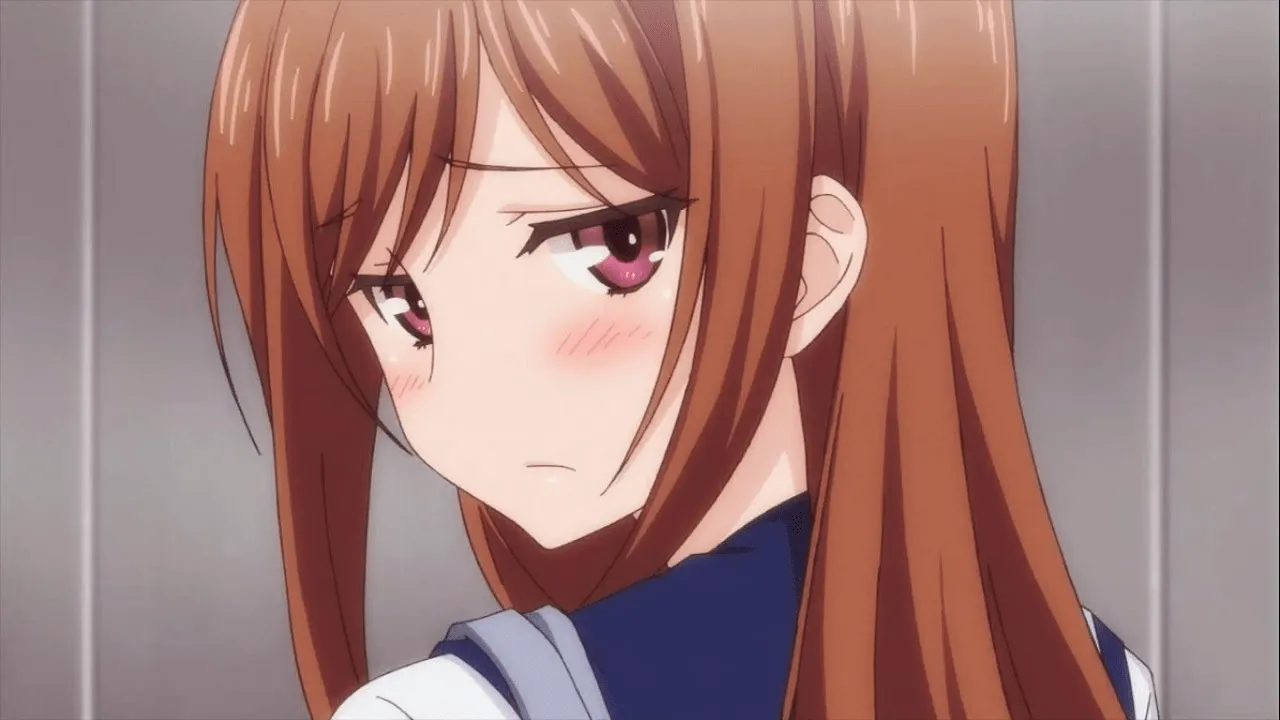 Noticias Anime Onegai