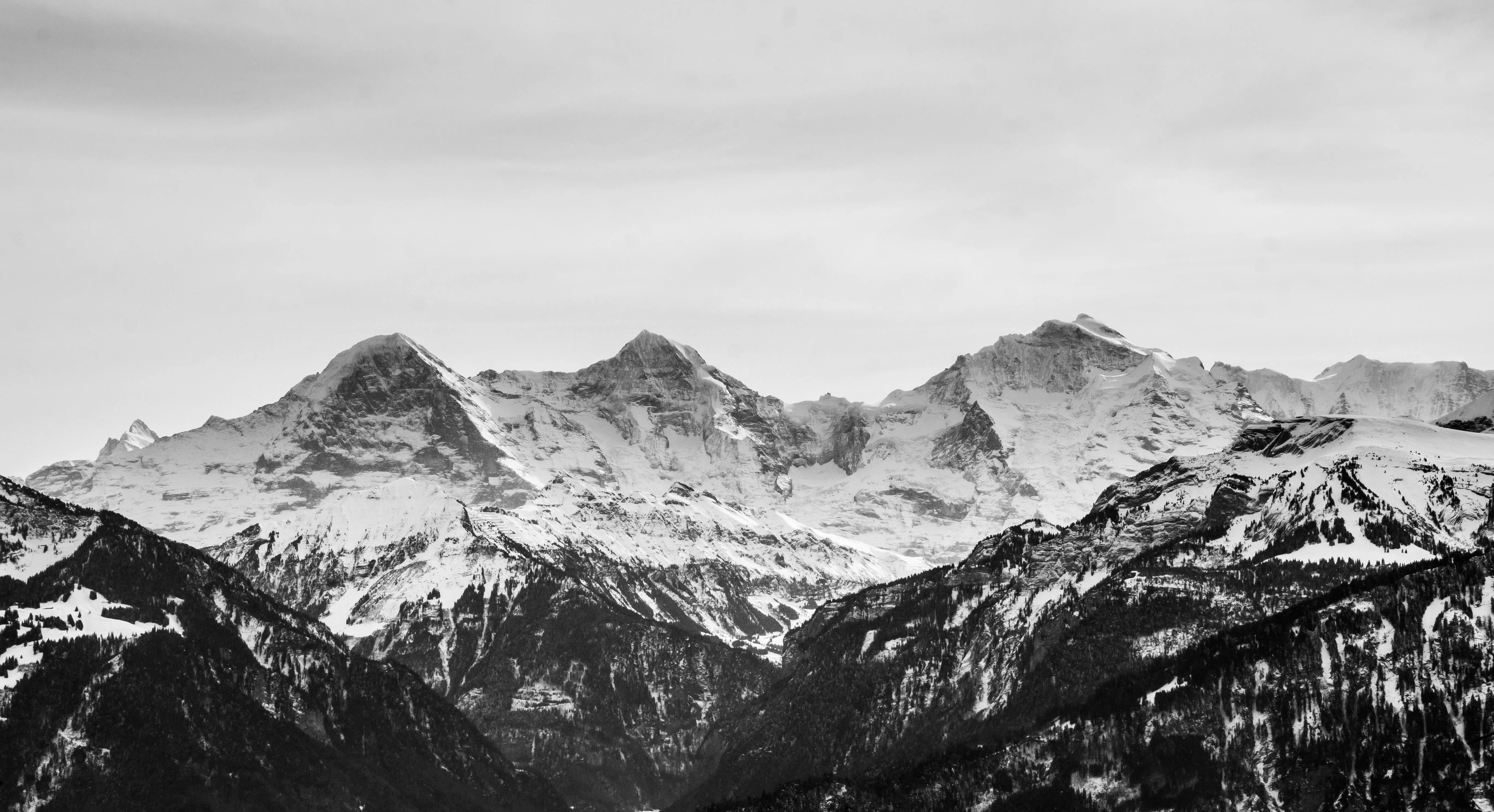 White Snow · Free