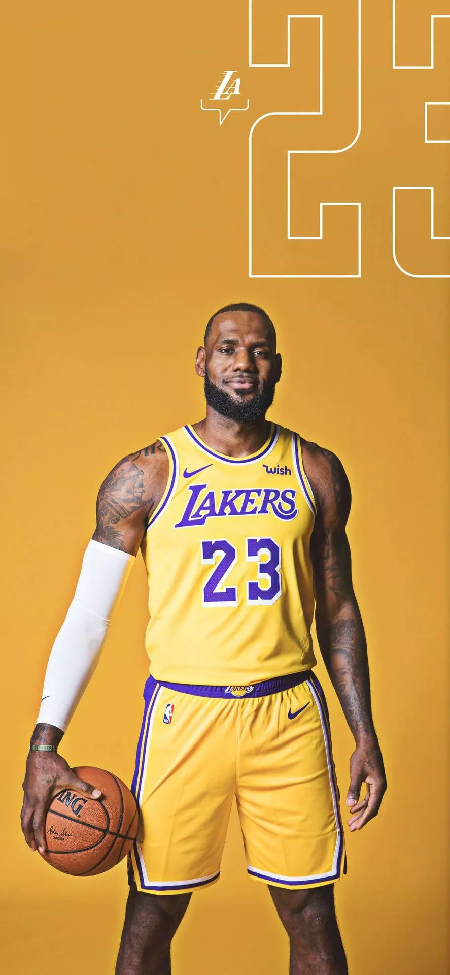 Lebron James La Lakers Wallpaper