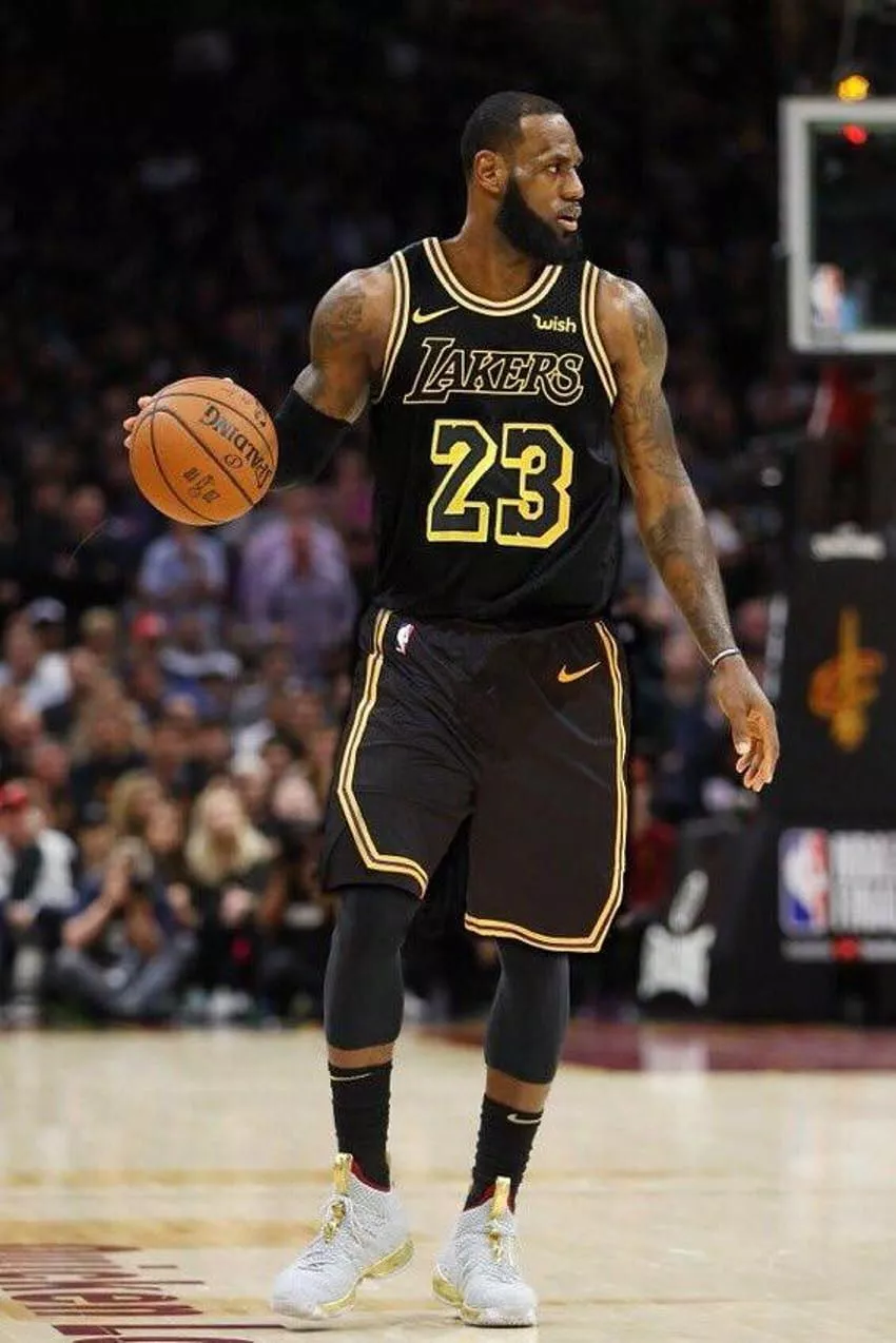 LeBron James Los Angeles Lakers, lebron