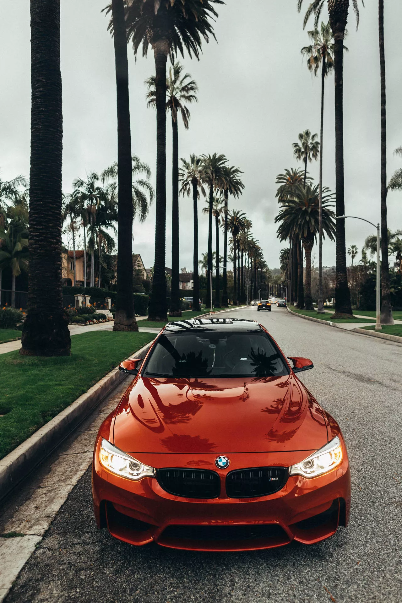 Download free Shiny Orange Bmw Car