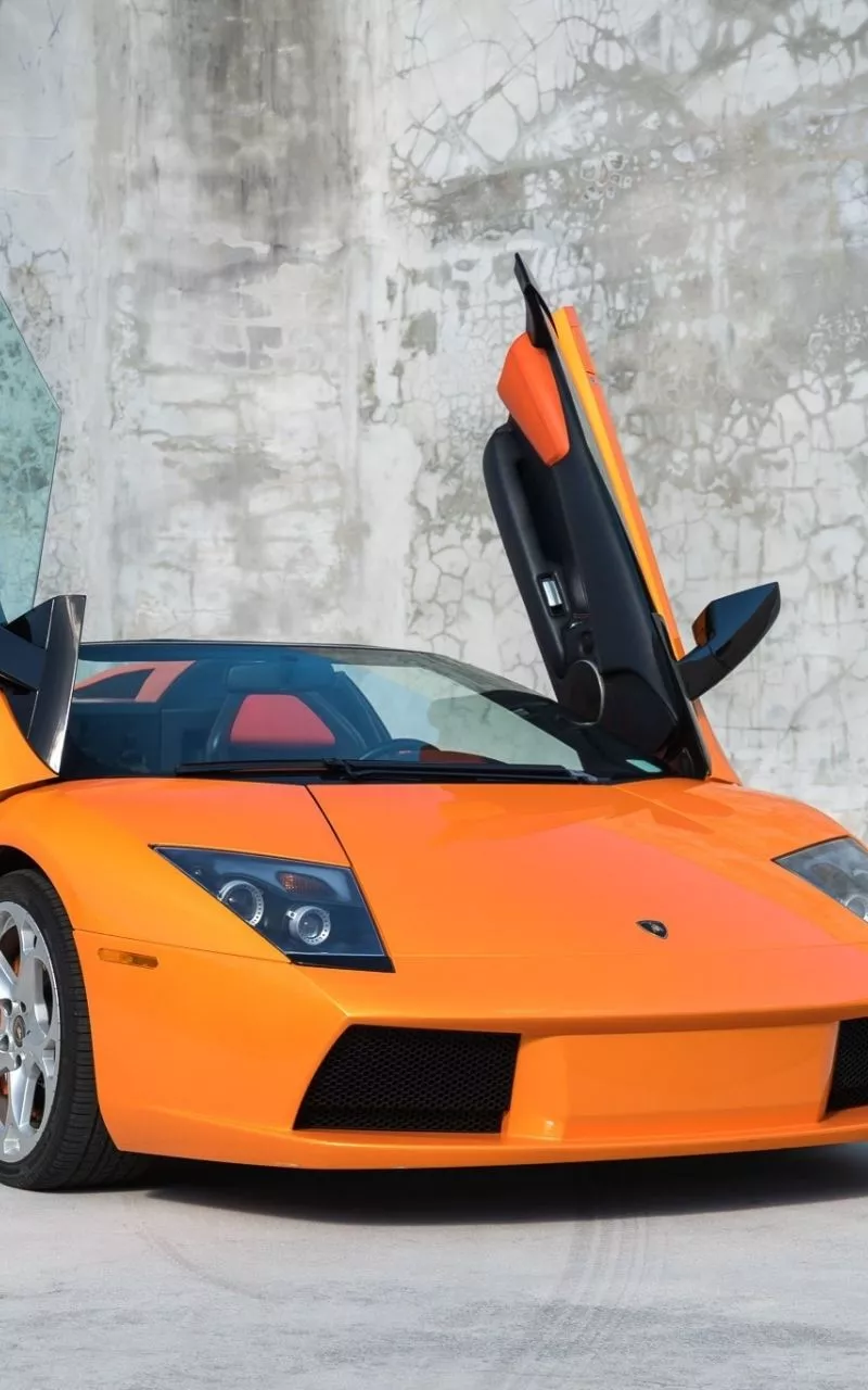 Download wallpaper 800x1280 orange