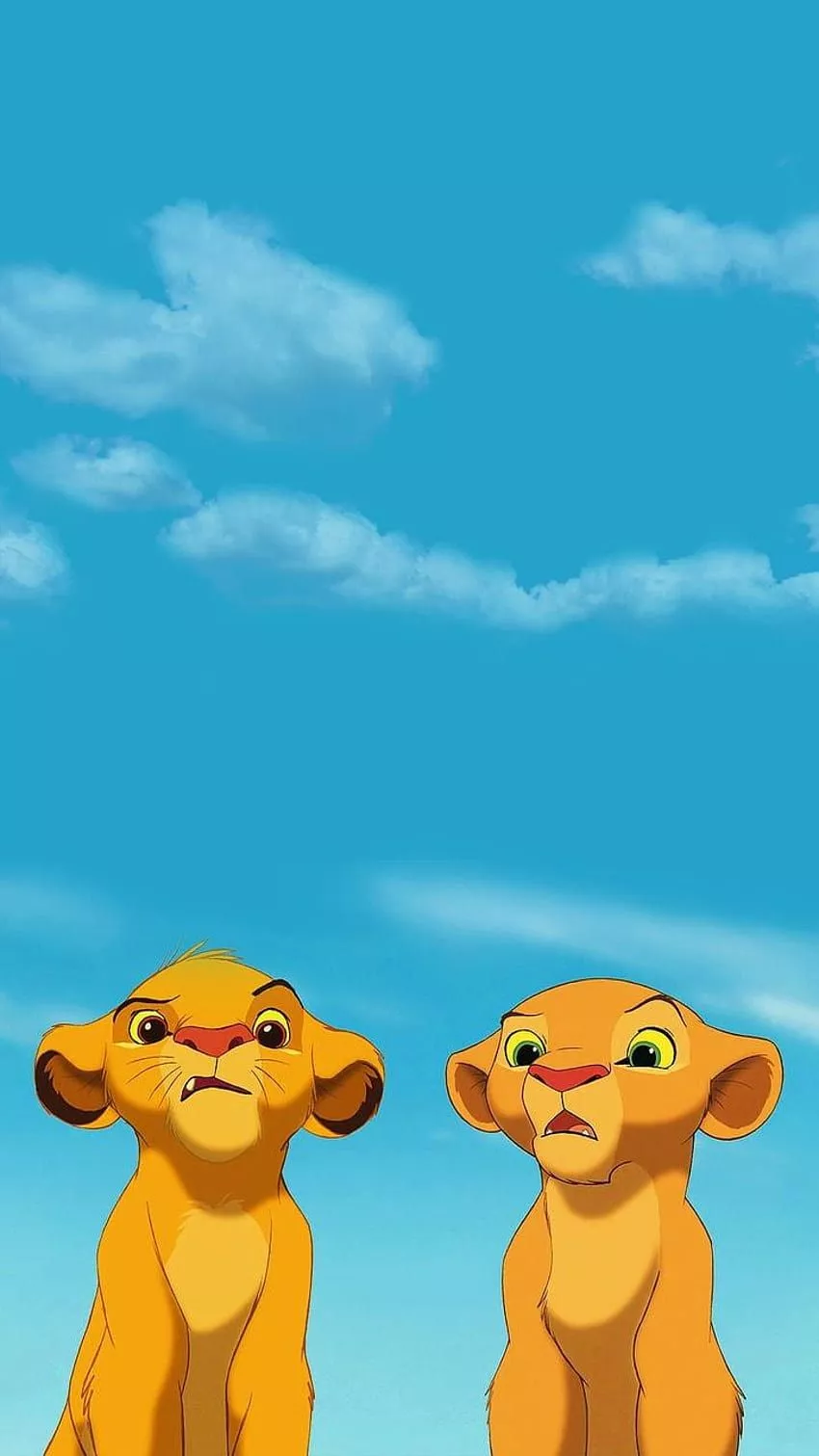Bat, Baby Lion King HD phone wallpaper