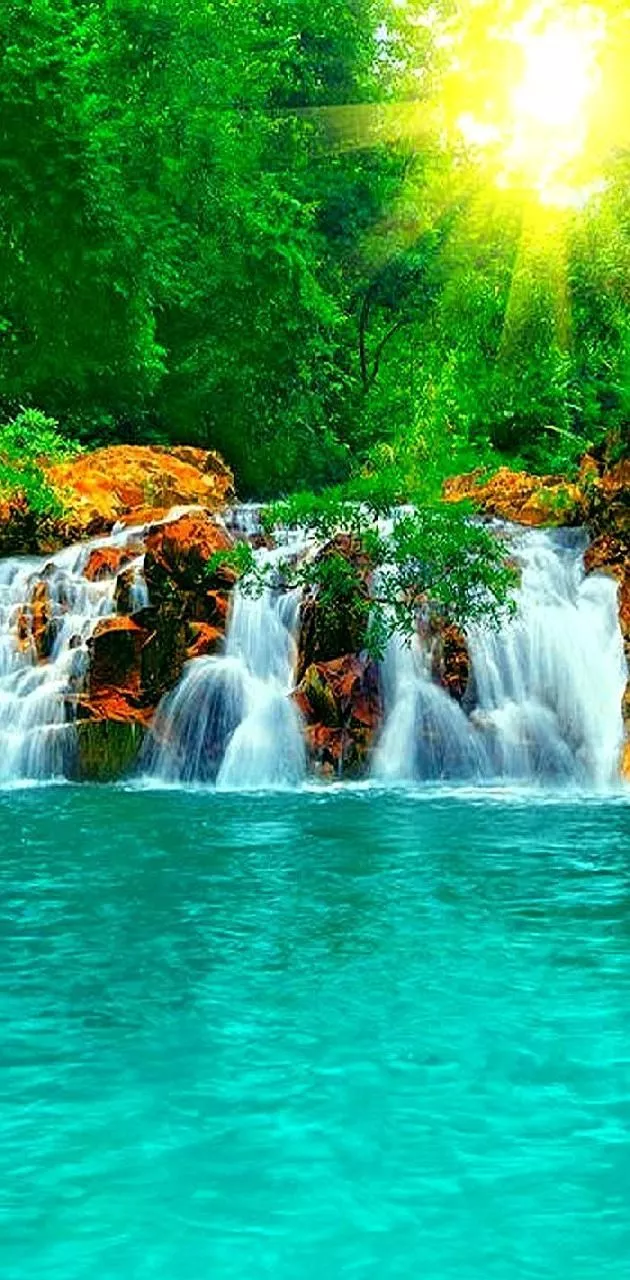 nature---- wallpaper