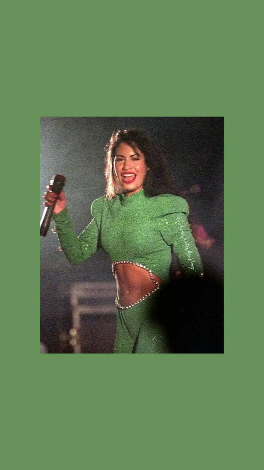 Selena La Leyenda!!!, Aesthetic, Queen