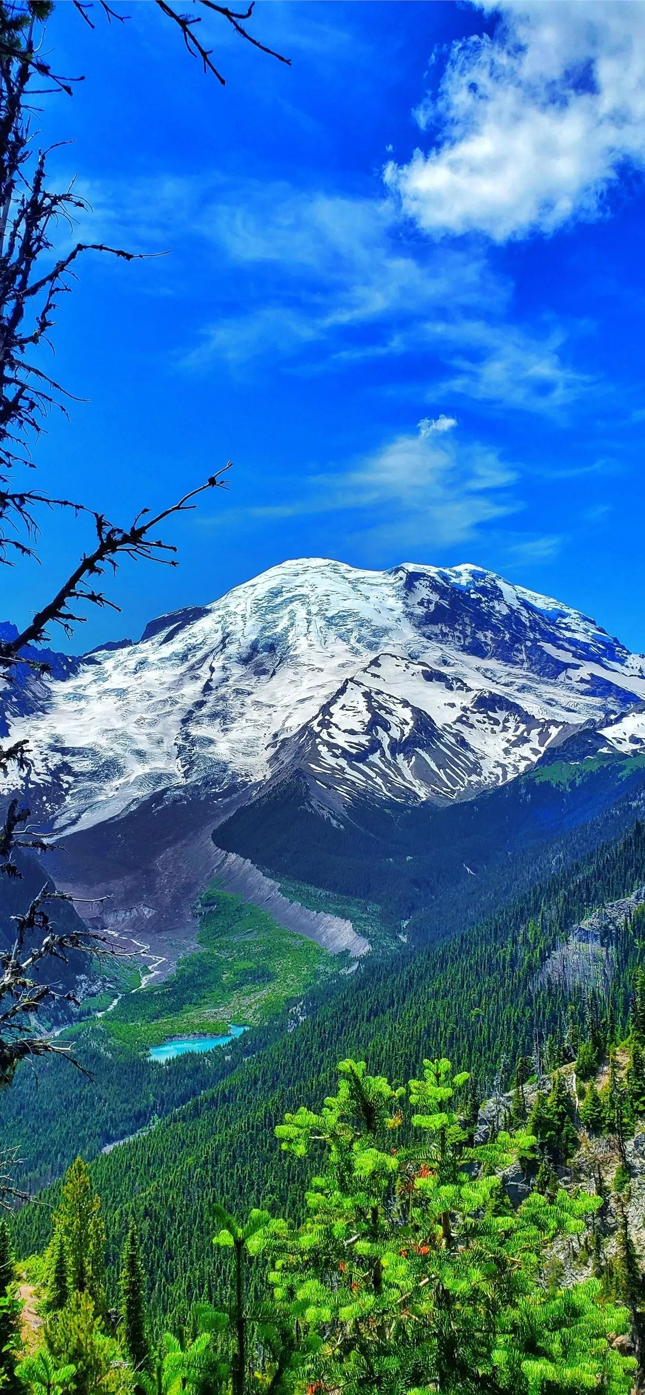 Mount Rainier National Park Wallpaper