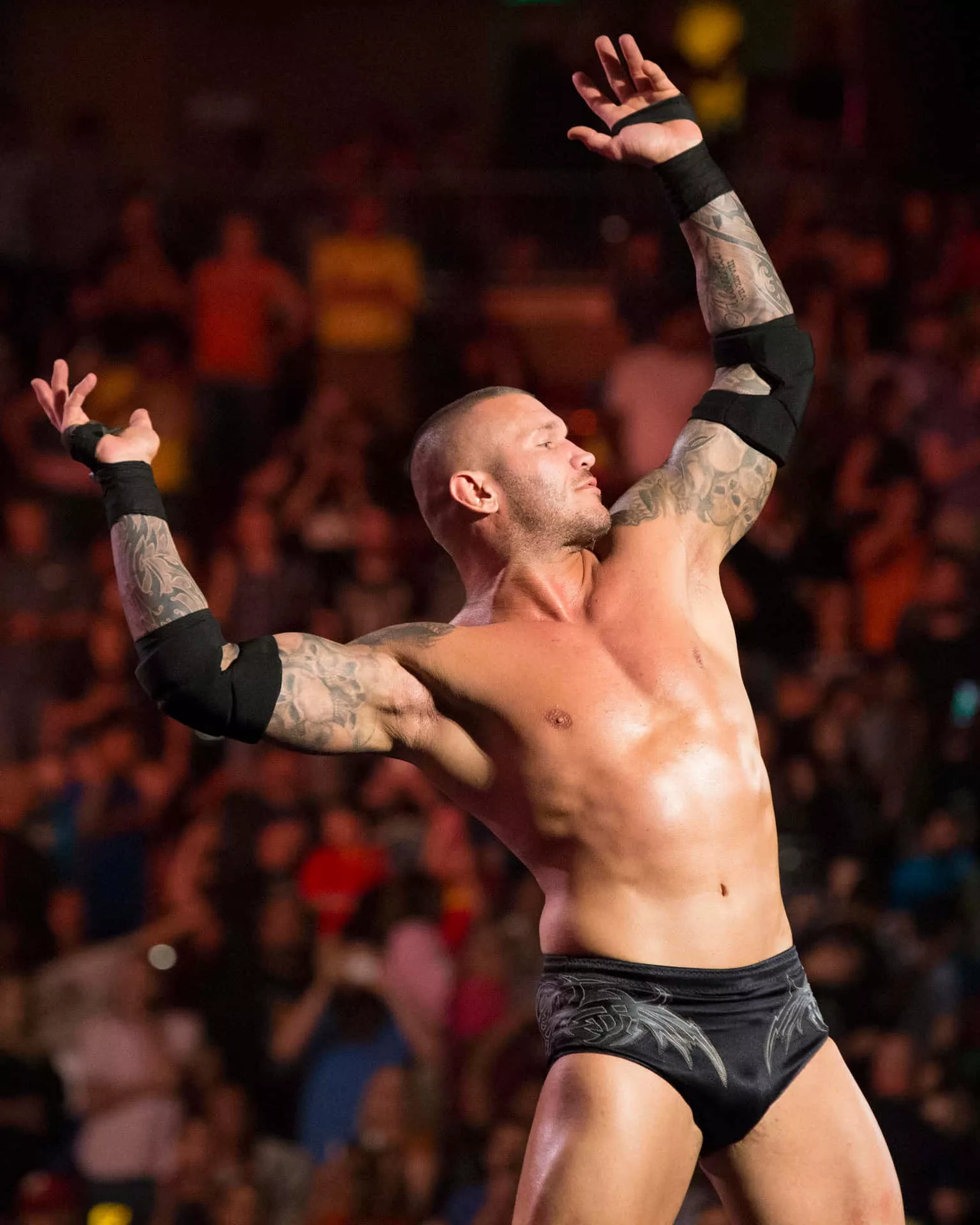 Randy Orton Picture