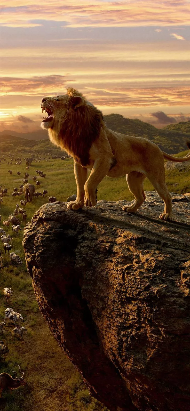 lion king movie 10k iPhone 11 Wallpaper
