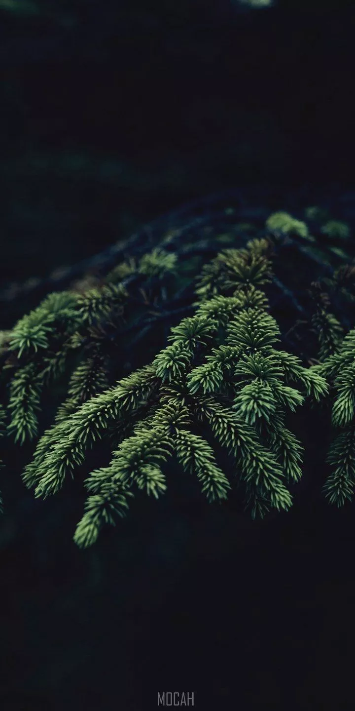 Nokia C2 Phone Wallpapers - Wallpaper Cave