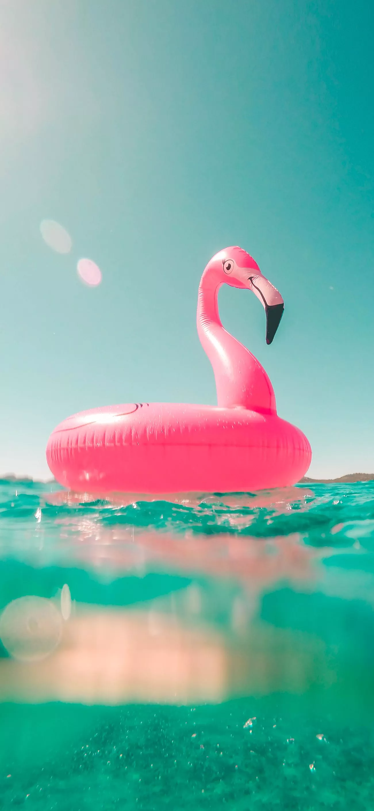 Flamingo Summer