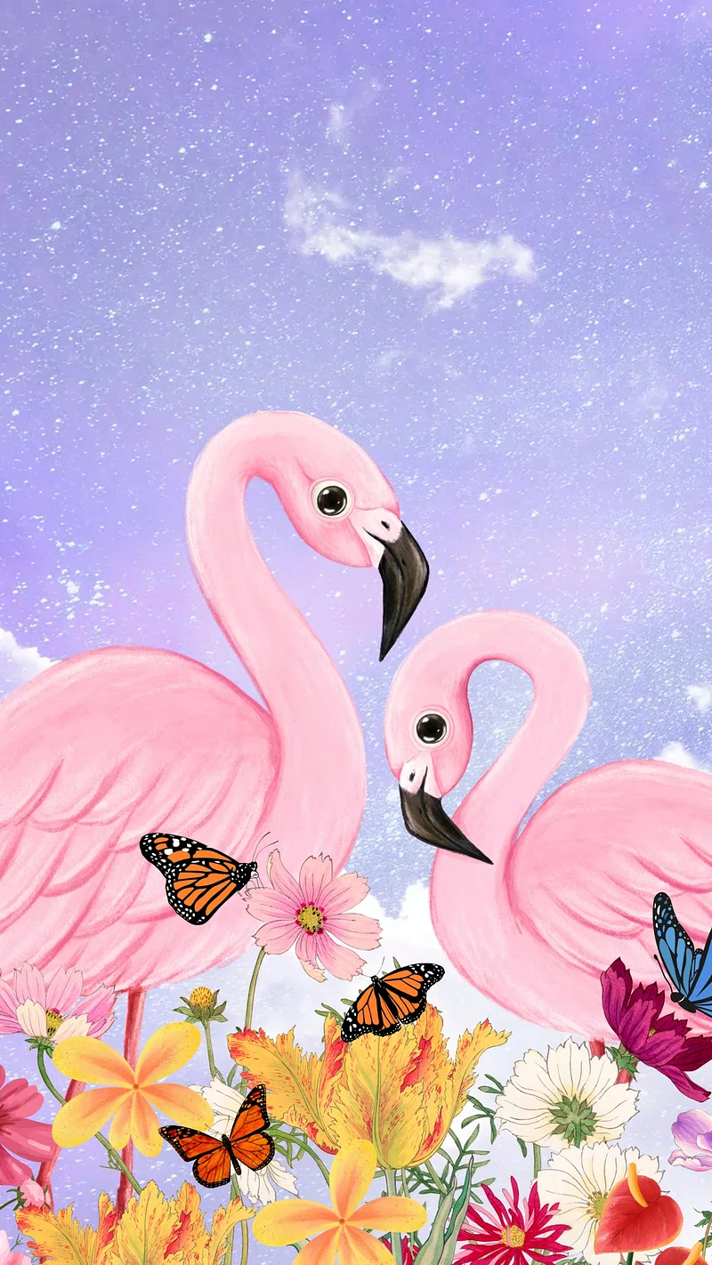 Flamingo Wallpaper Image. Free Photo