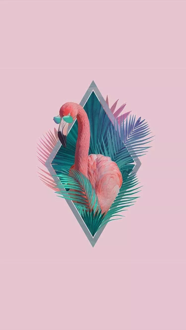 Pink Flamingo Cute Summer Aesthetic
