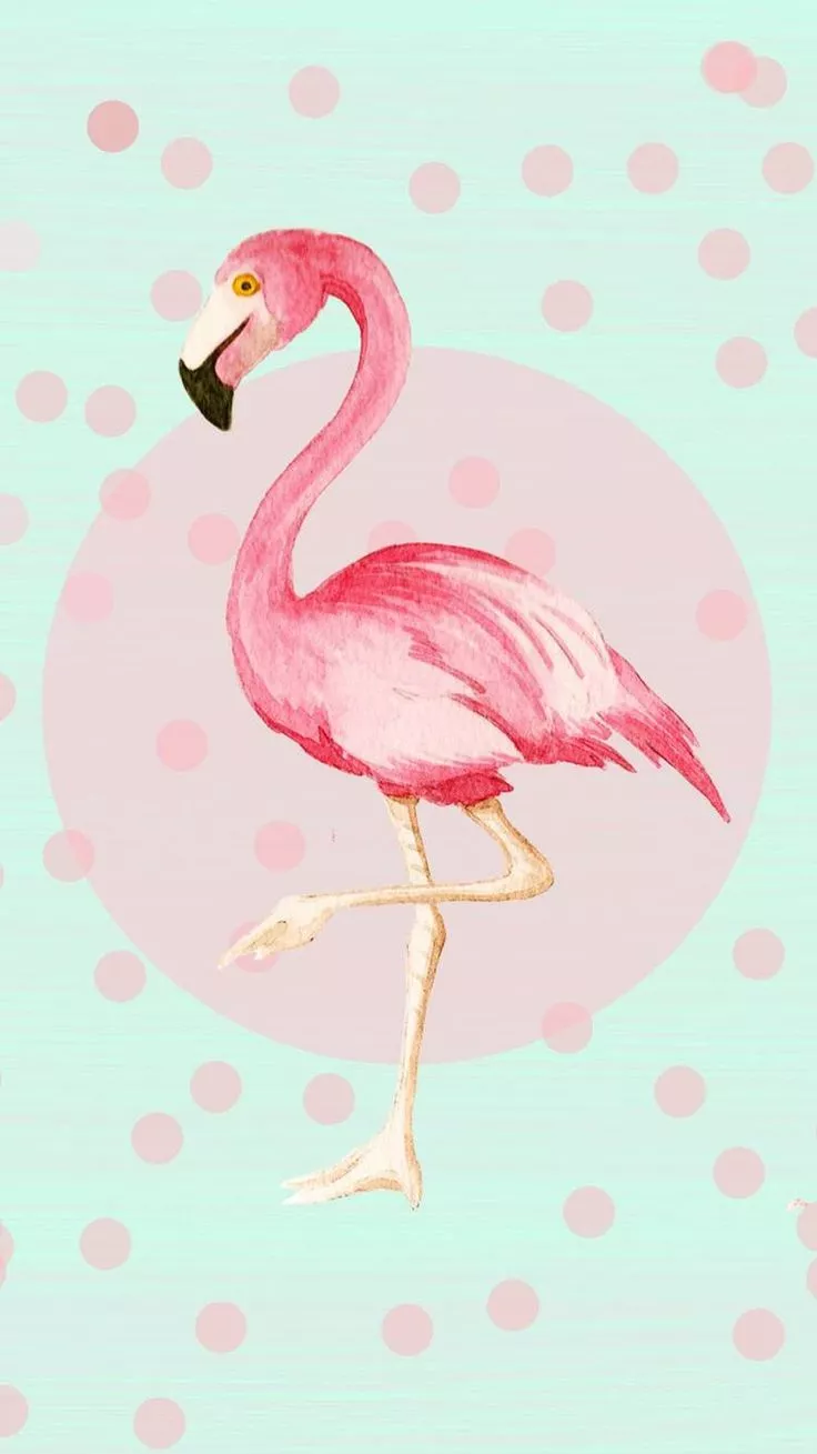 Best Pink flamingo wallpaper ideas
