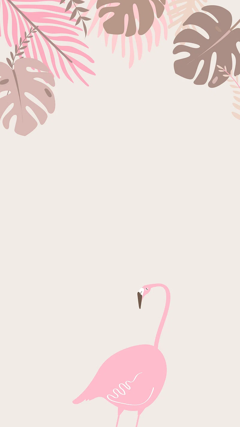Flamingo Wallpaper Image. Free Photo