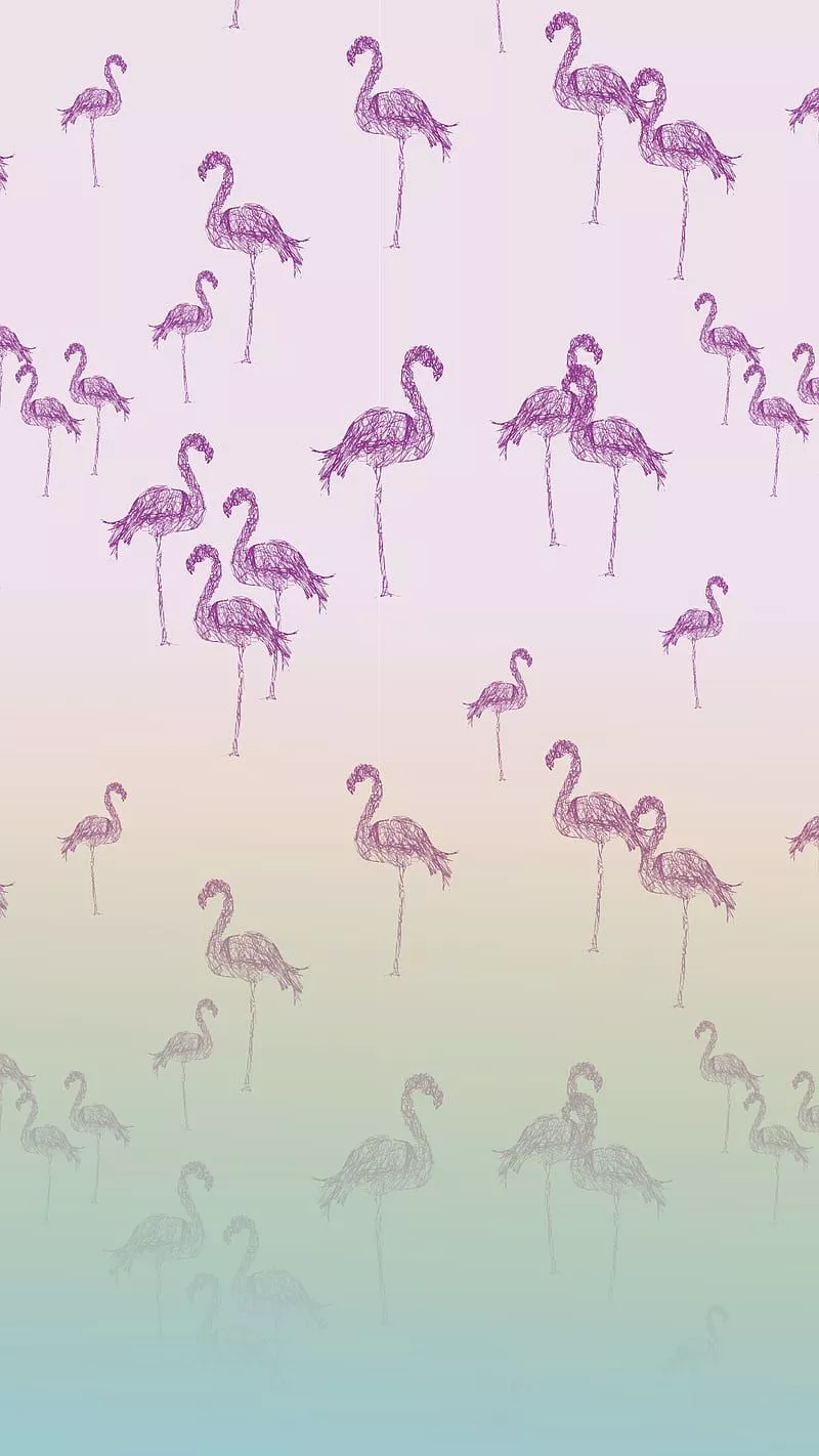 HD flamingo tropical wallpaper