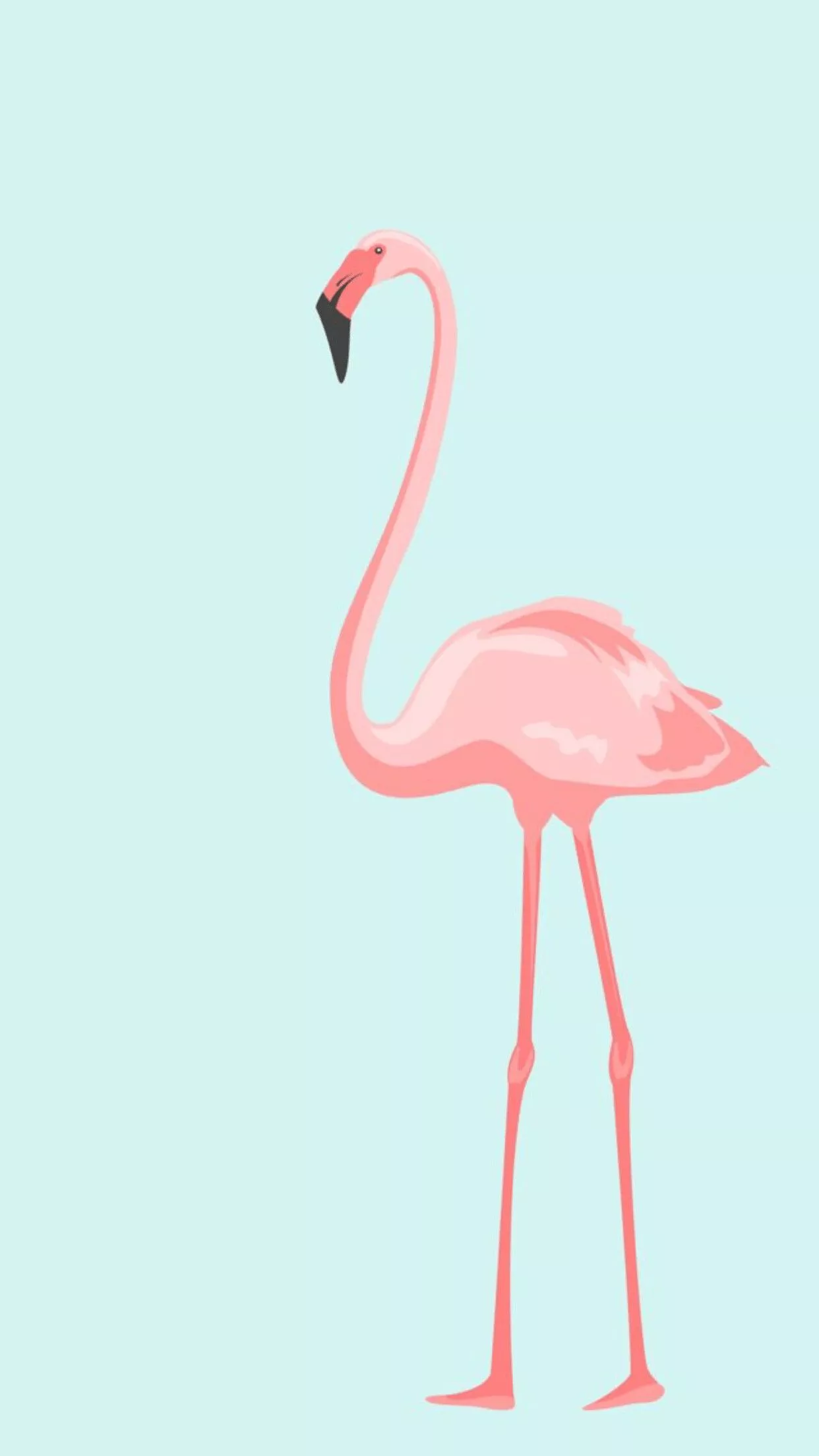 Flamingo Wallpaper