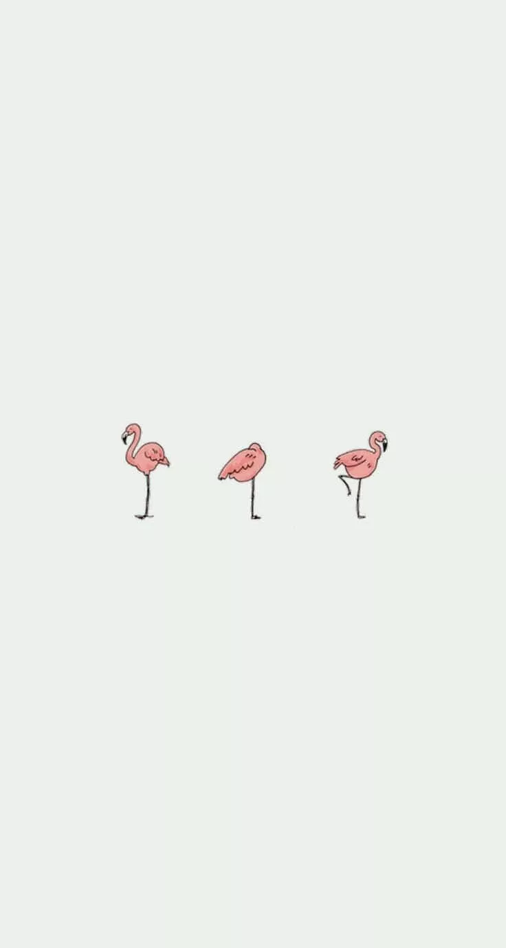 Cute iPhone Flamingo Wallpaper