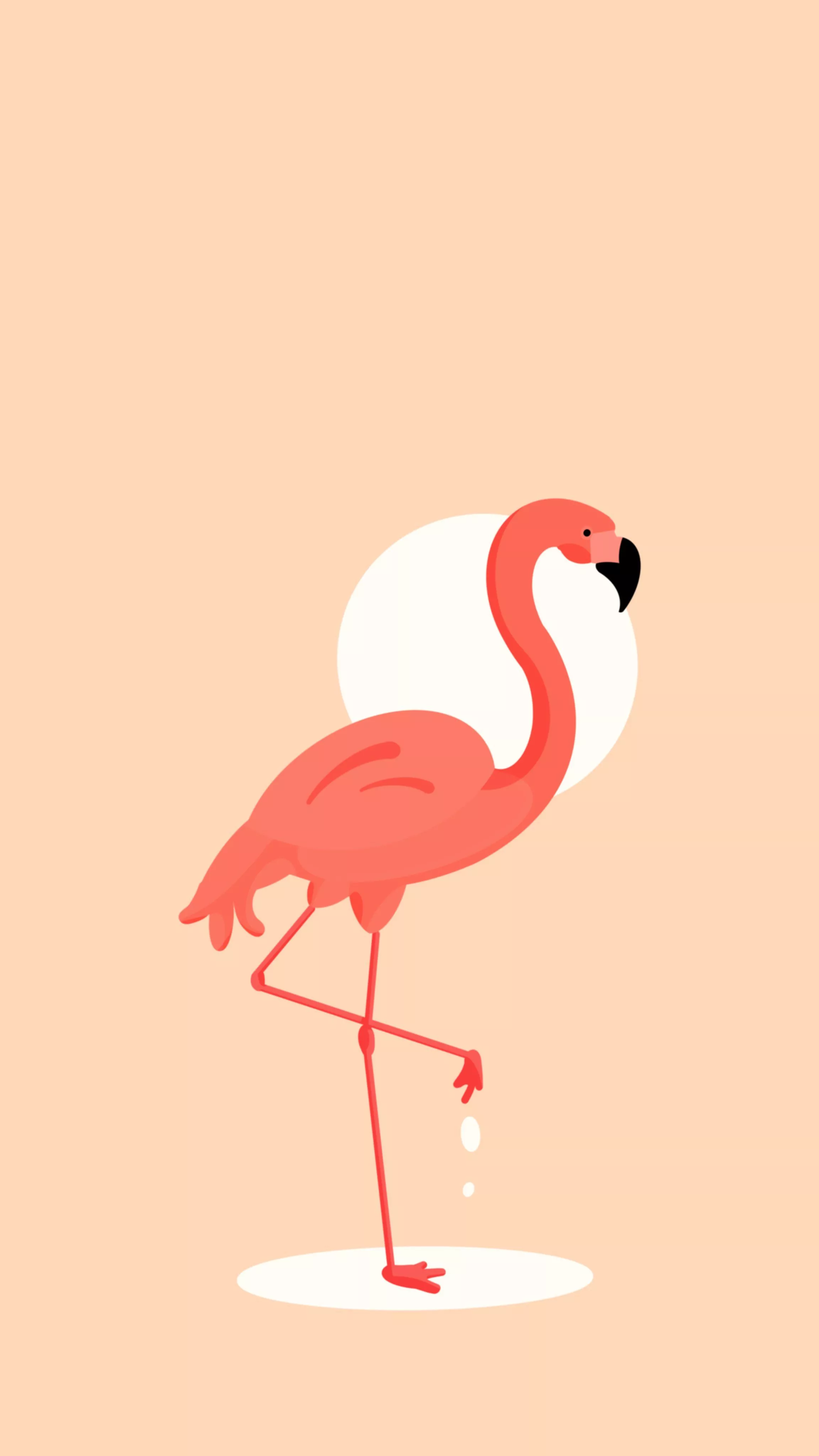 Minimal 6k Flamingo wallpaper