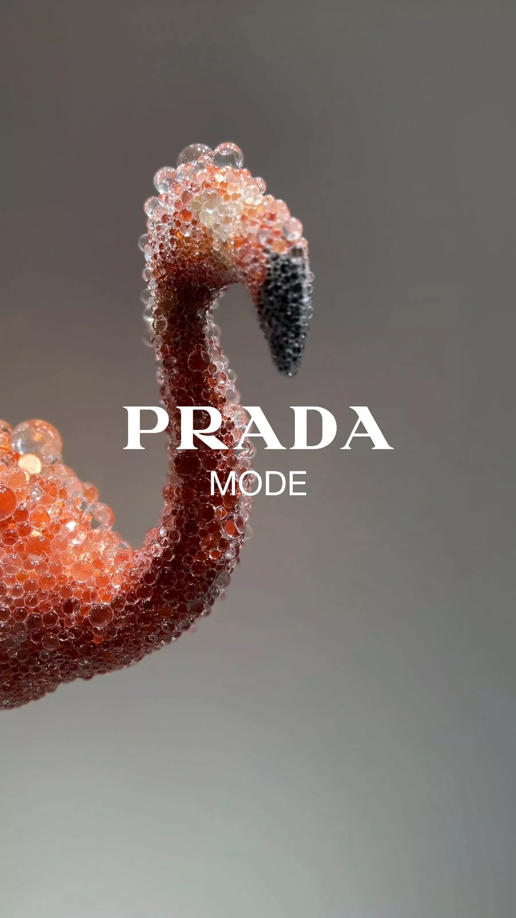 Most Popular Flamingo Wallpaper