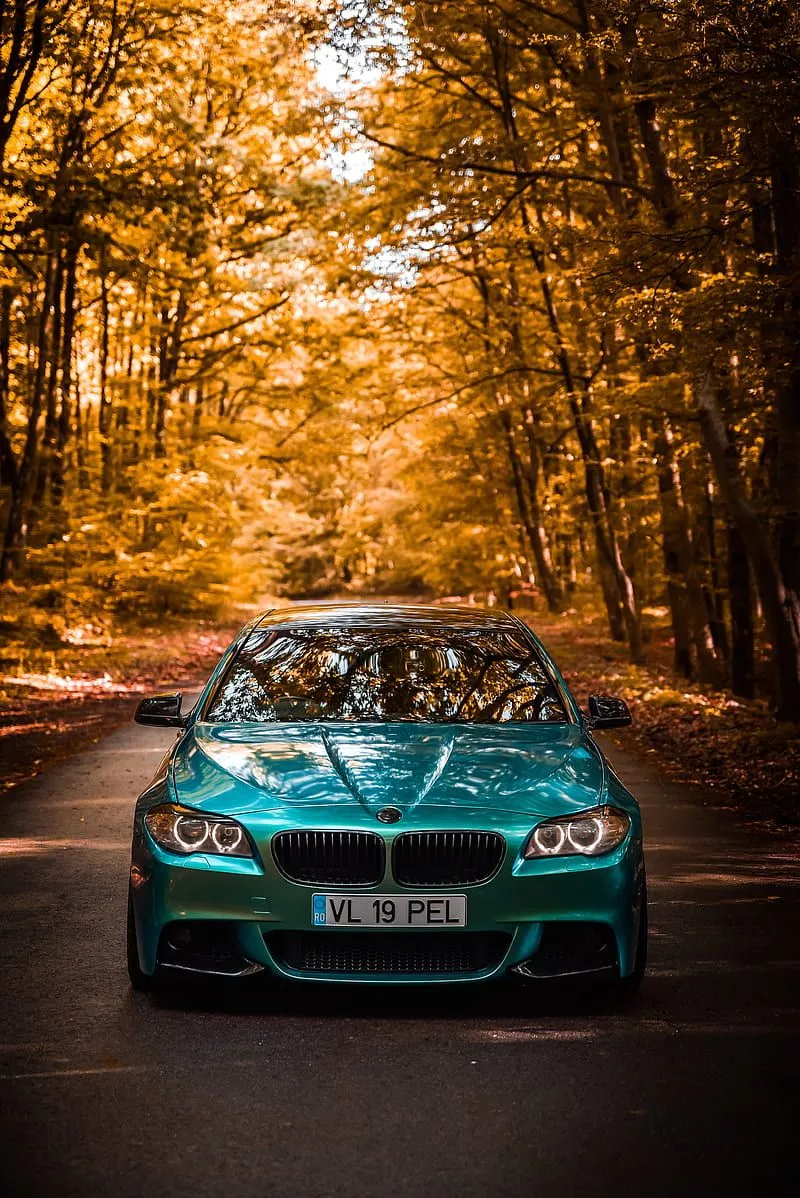 Bmw f10, bmw, forest, HD phone