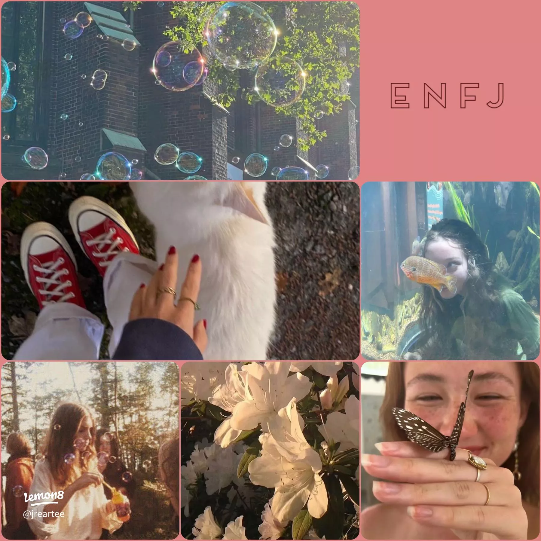 The Diplomats as Aesthetics!