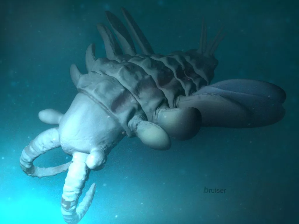 anomalocaris
