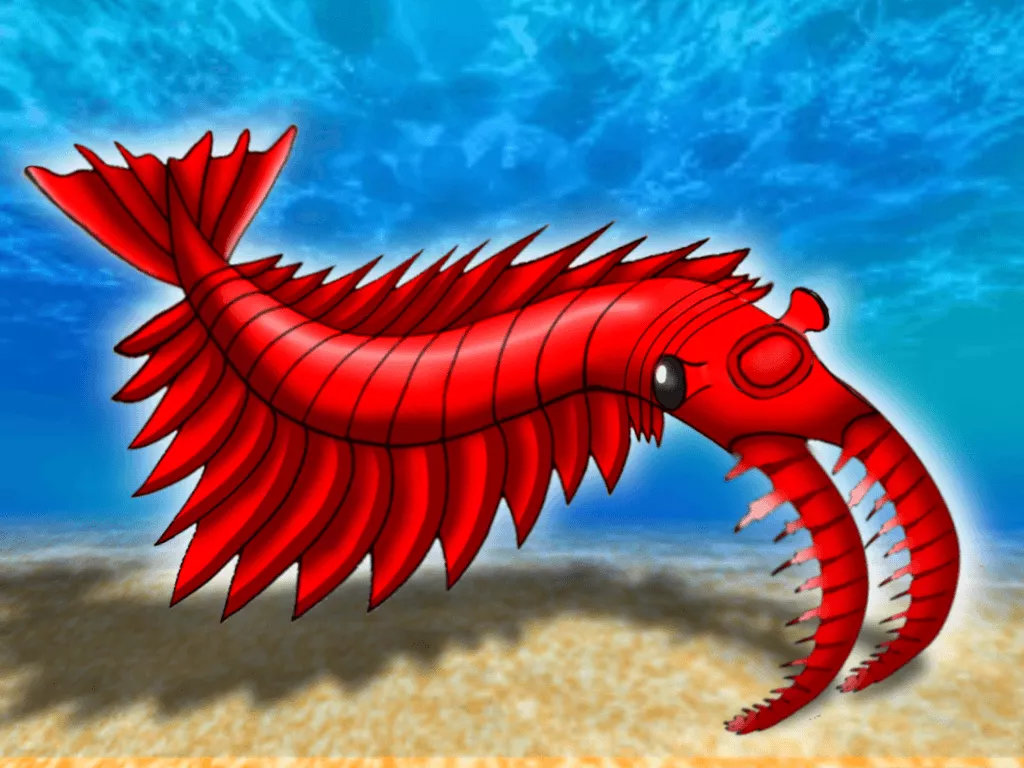 Anomalocaris.png