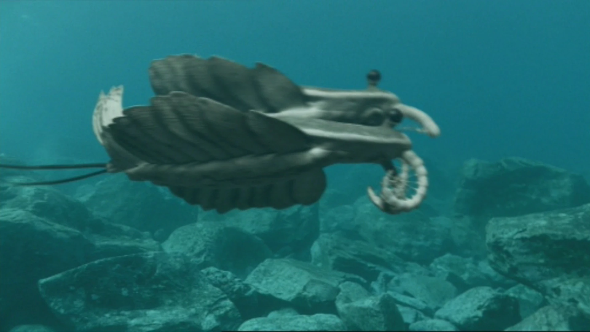 Anomalocaris. Walking With Wikis