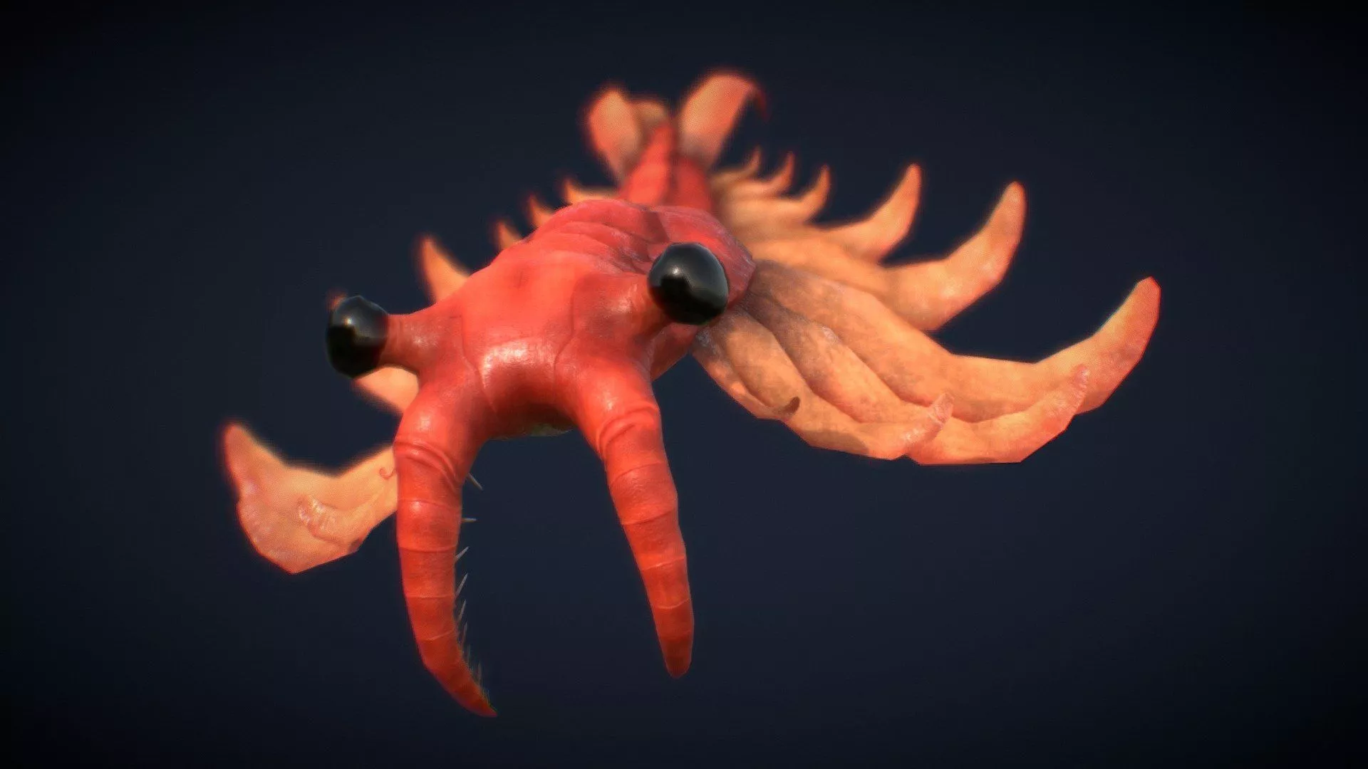 Anomalocaris Canadensis