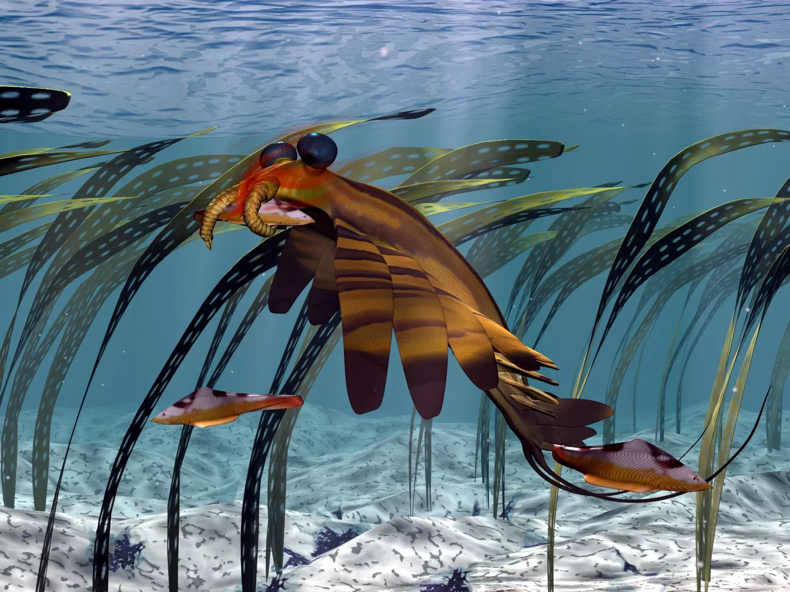 Multimedia Gallery From