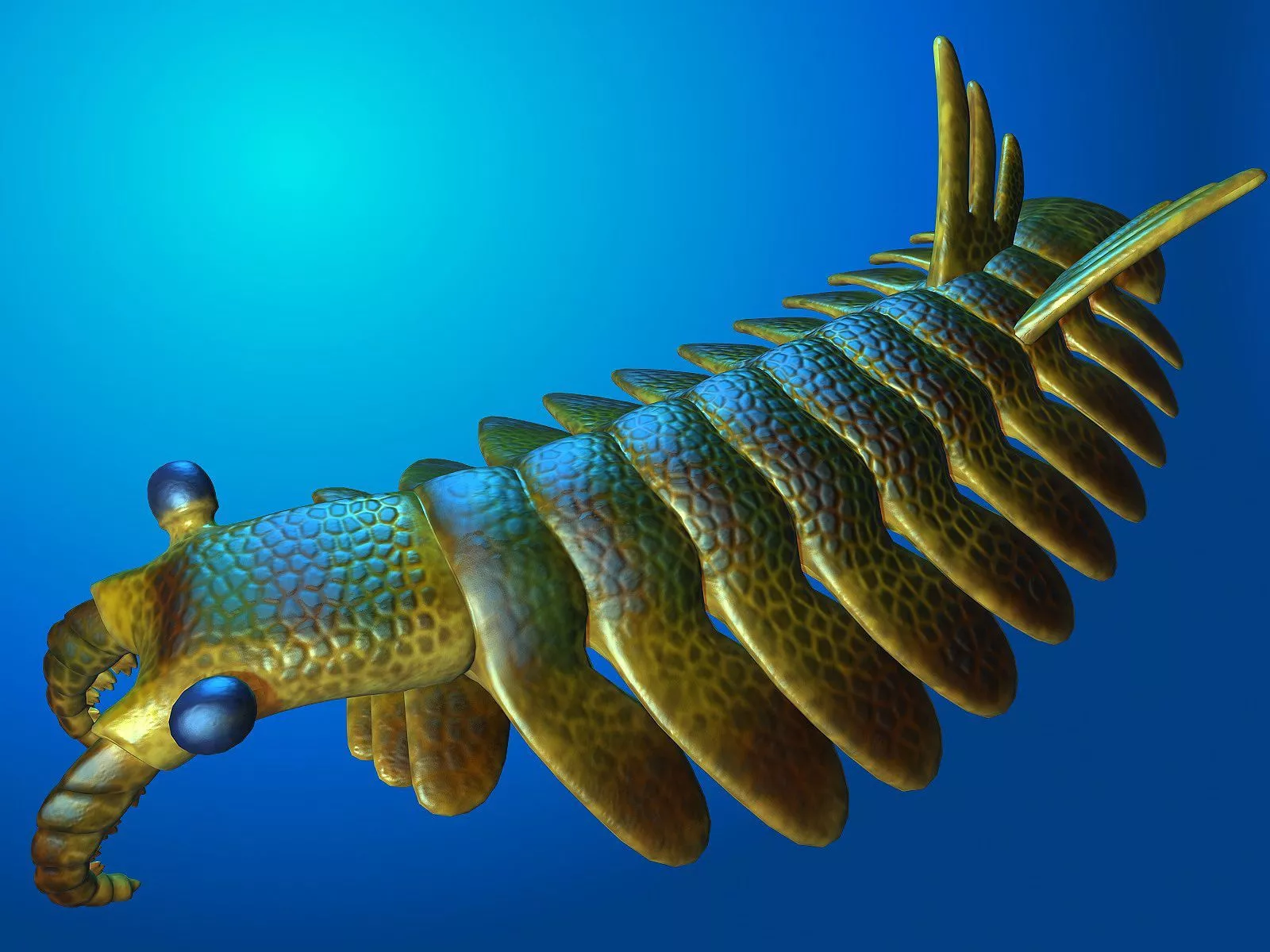 Anomalocaris 3D Model $49 - .obj .max