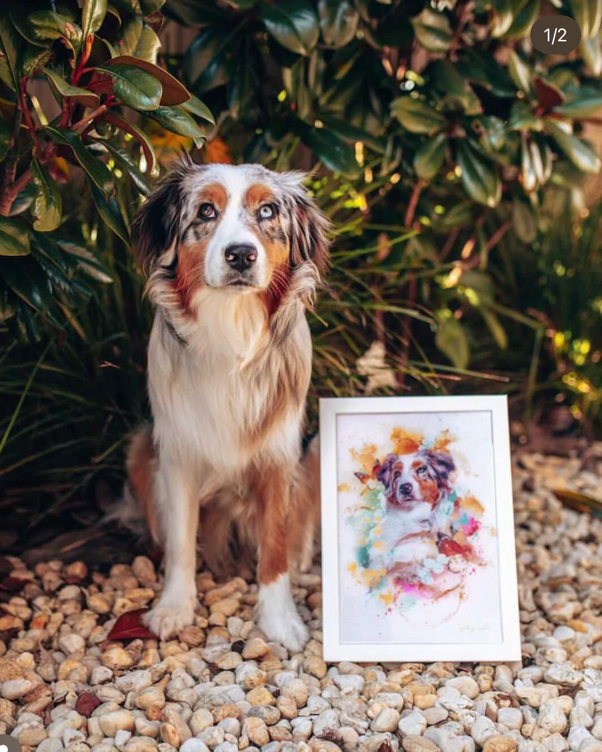 Glitter Embellished Print 12 x 8