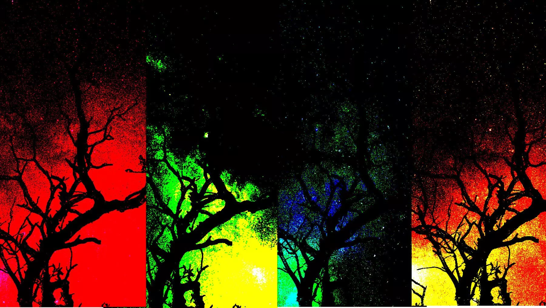 Autumn Shadow PC Wallpaper + 4 Phone Wallpaper Pack