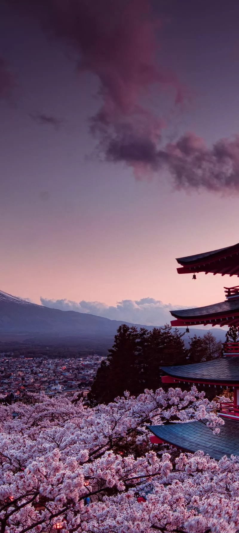 Mount fuji, Japan, Volcano, Cherry