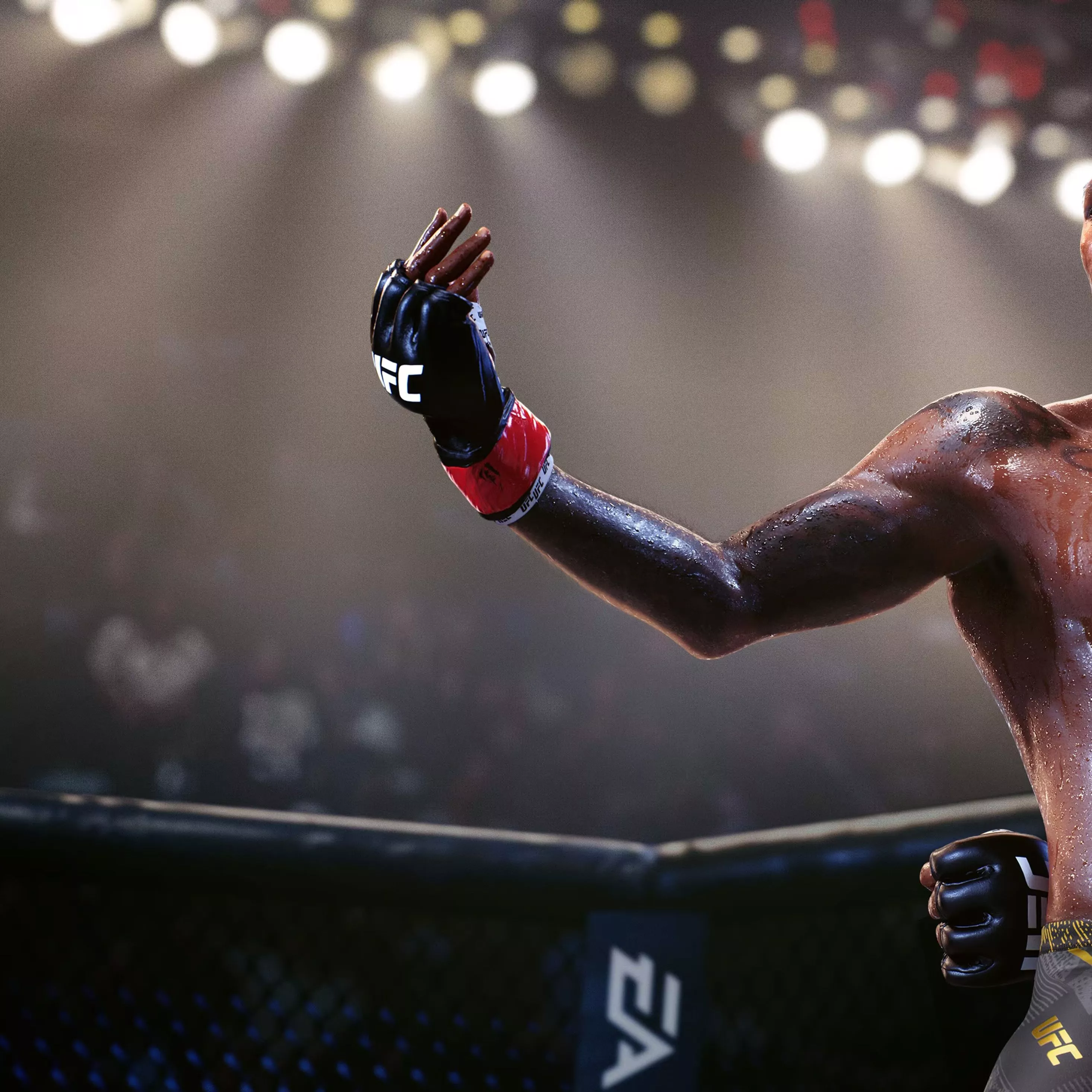 Ufc 5 iPad Pro Retina Display