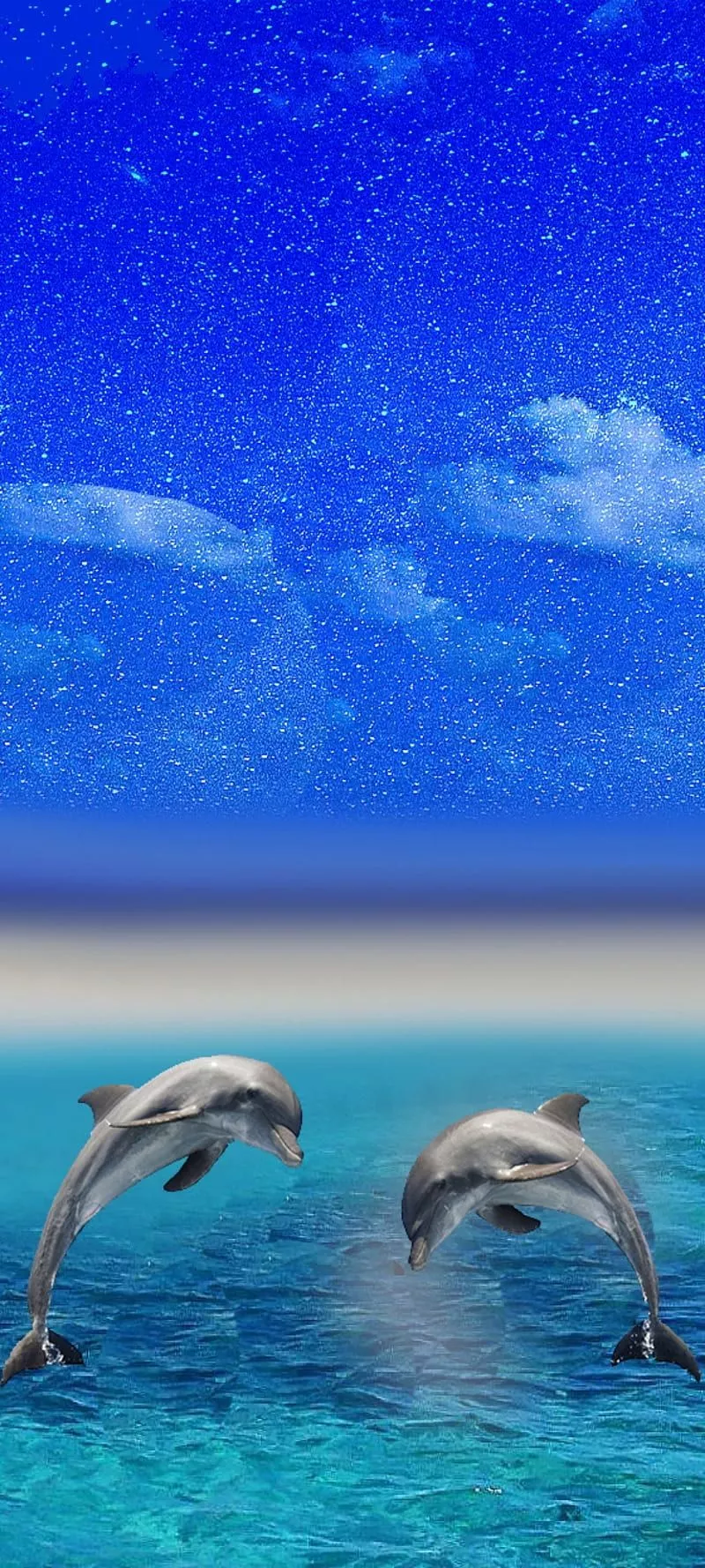 HD beach dolphins wallpaper